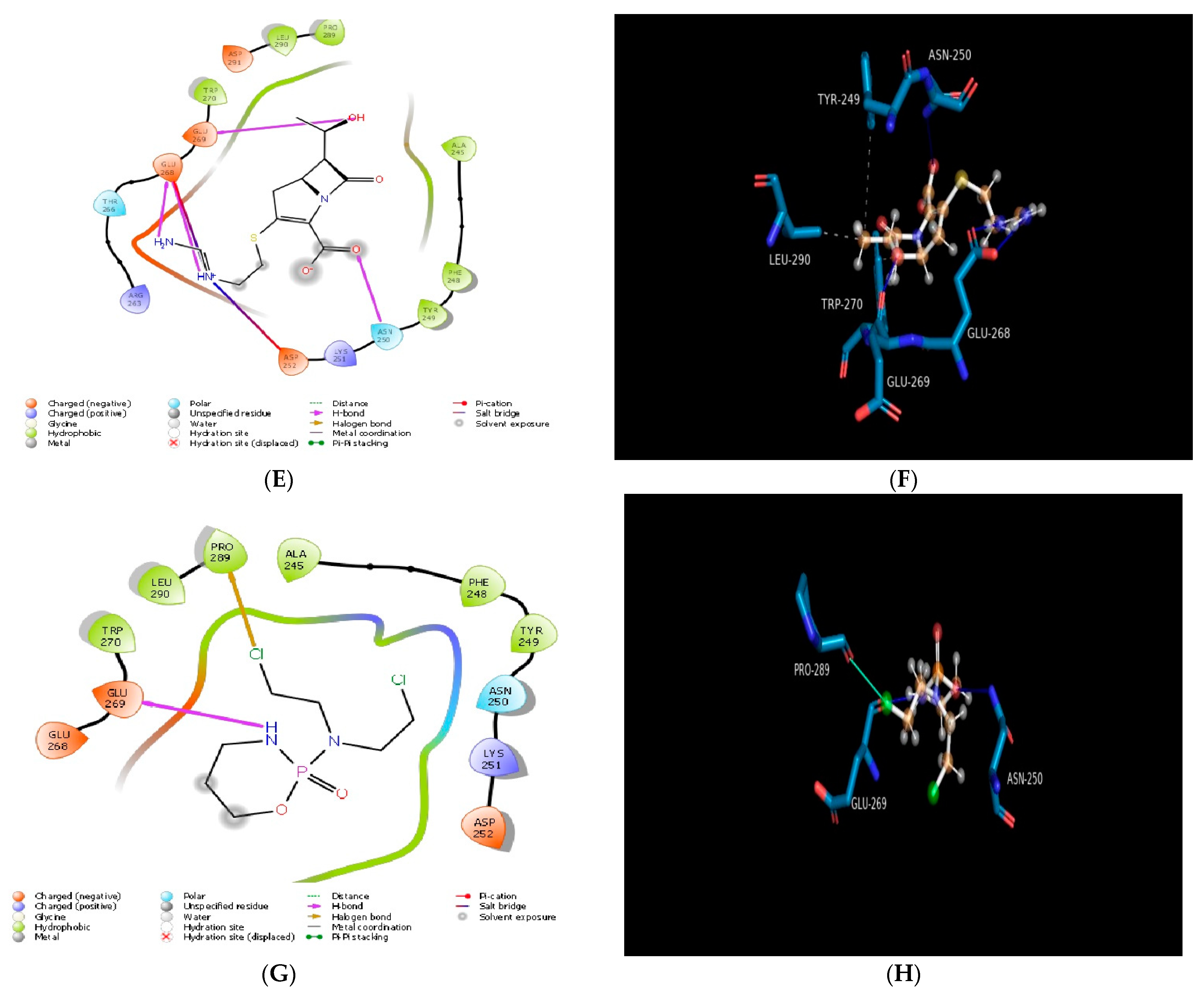 Molecules 28 00574 g003b