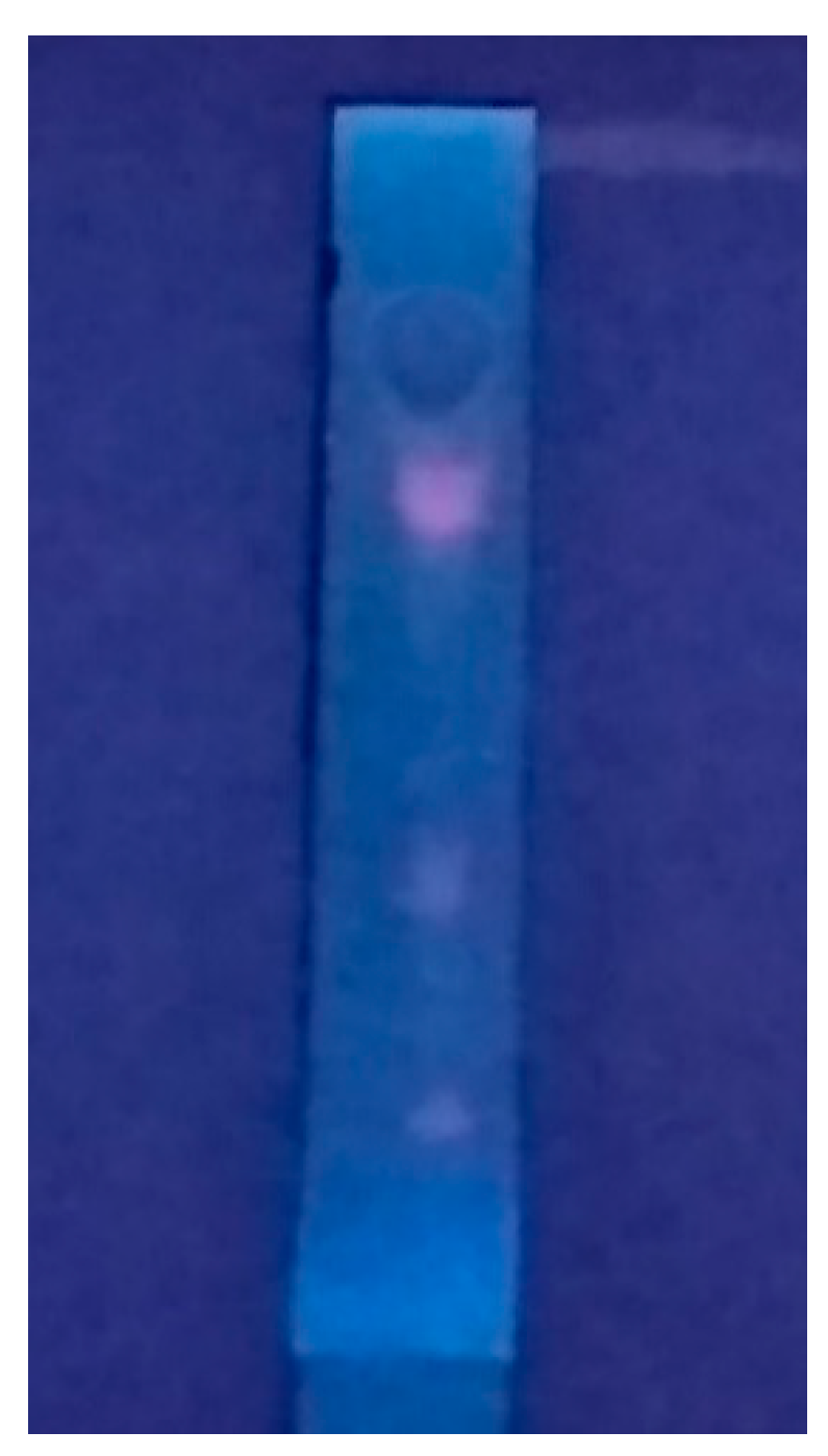 Molecules 28 00574 g006