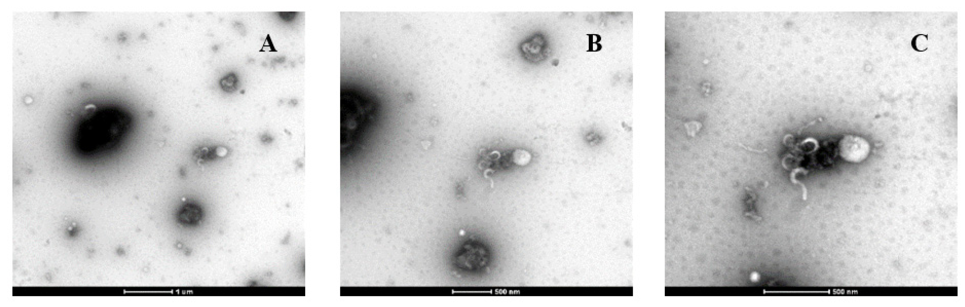 Molecules 28 00575 g005