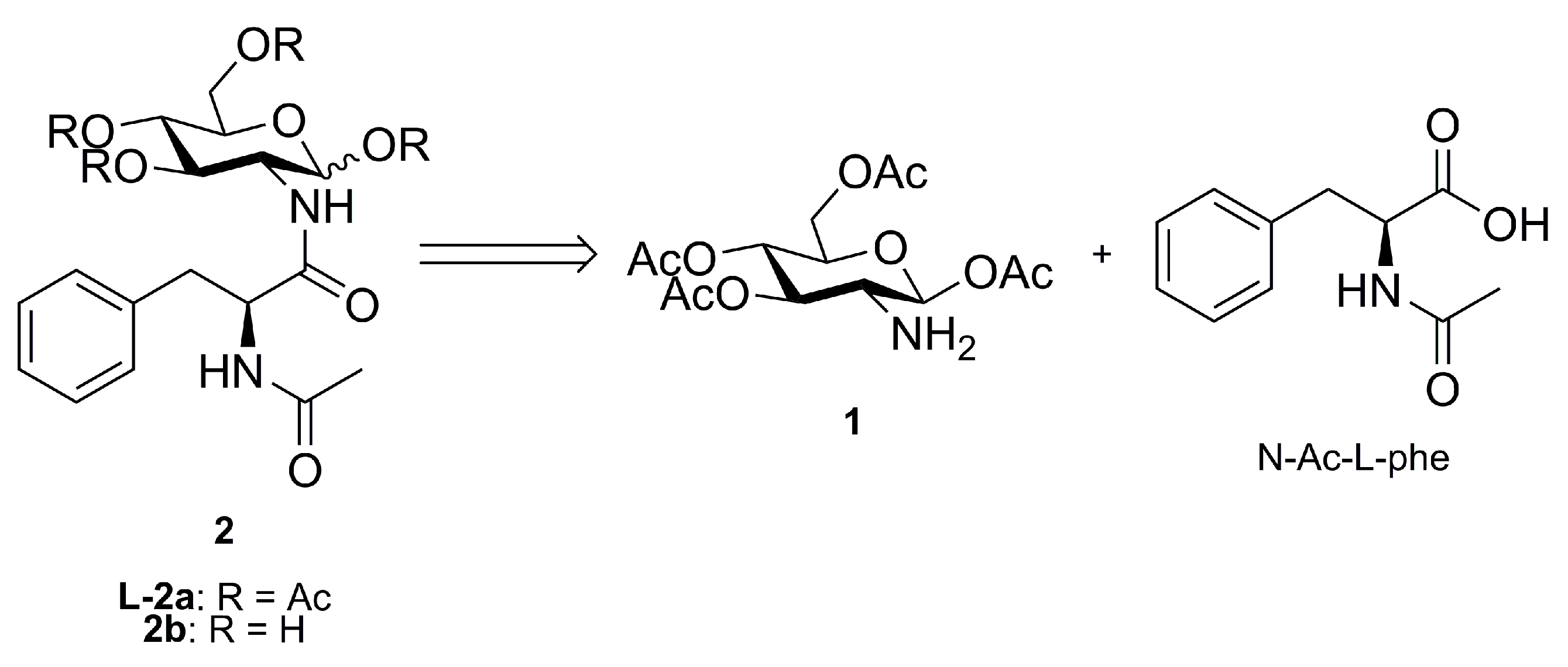 Molecules 28 00581 g001