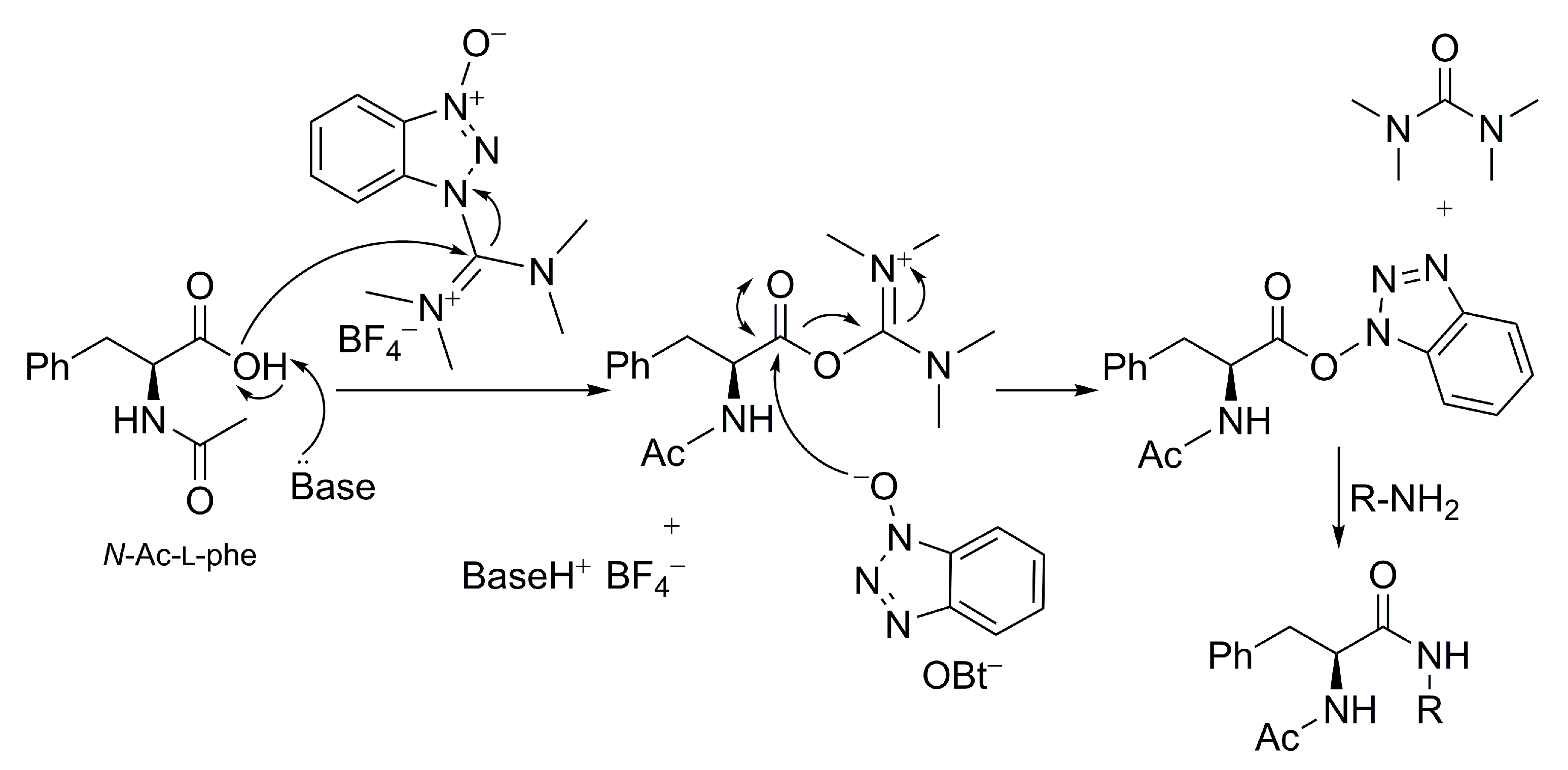 Molecules 28 00581 g002