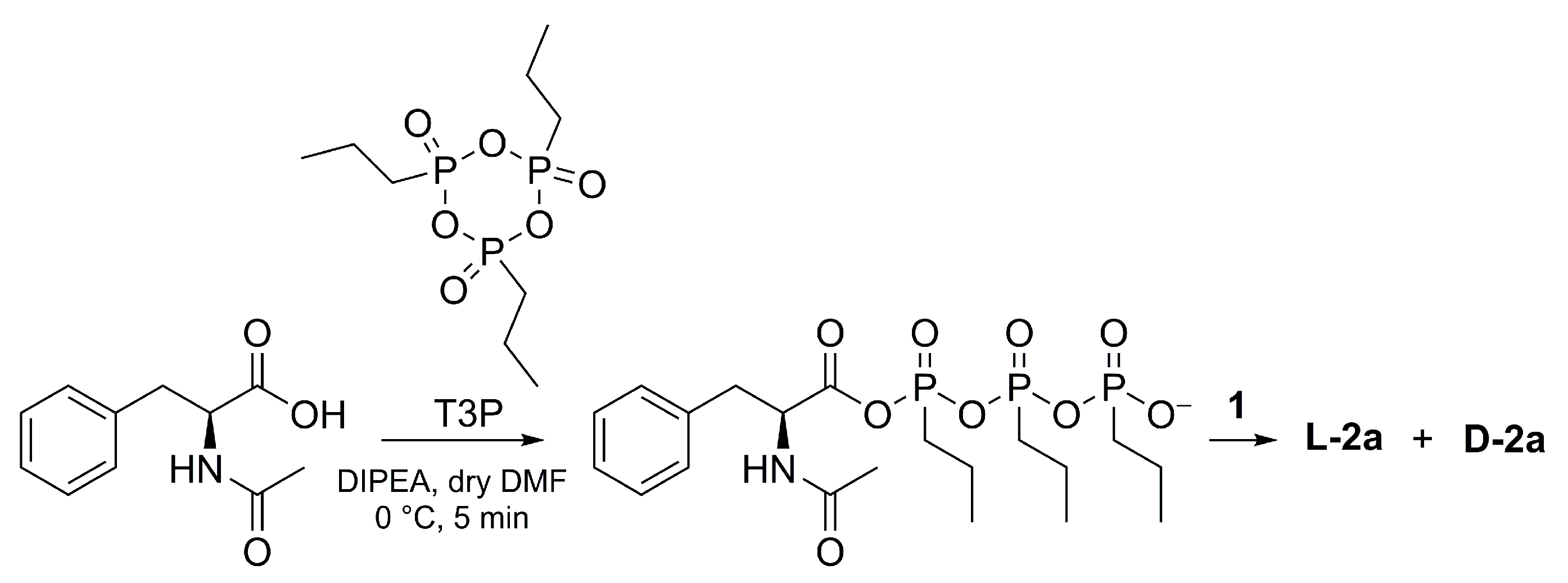 Molecules 28 00581 g006
