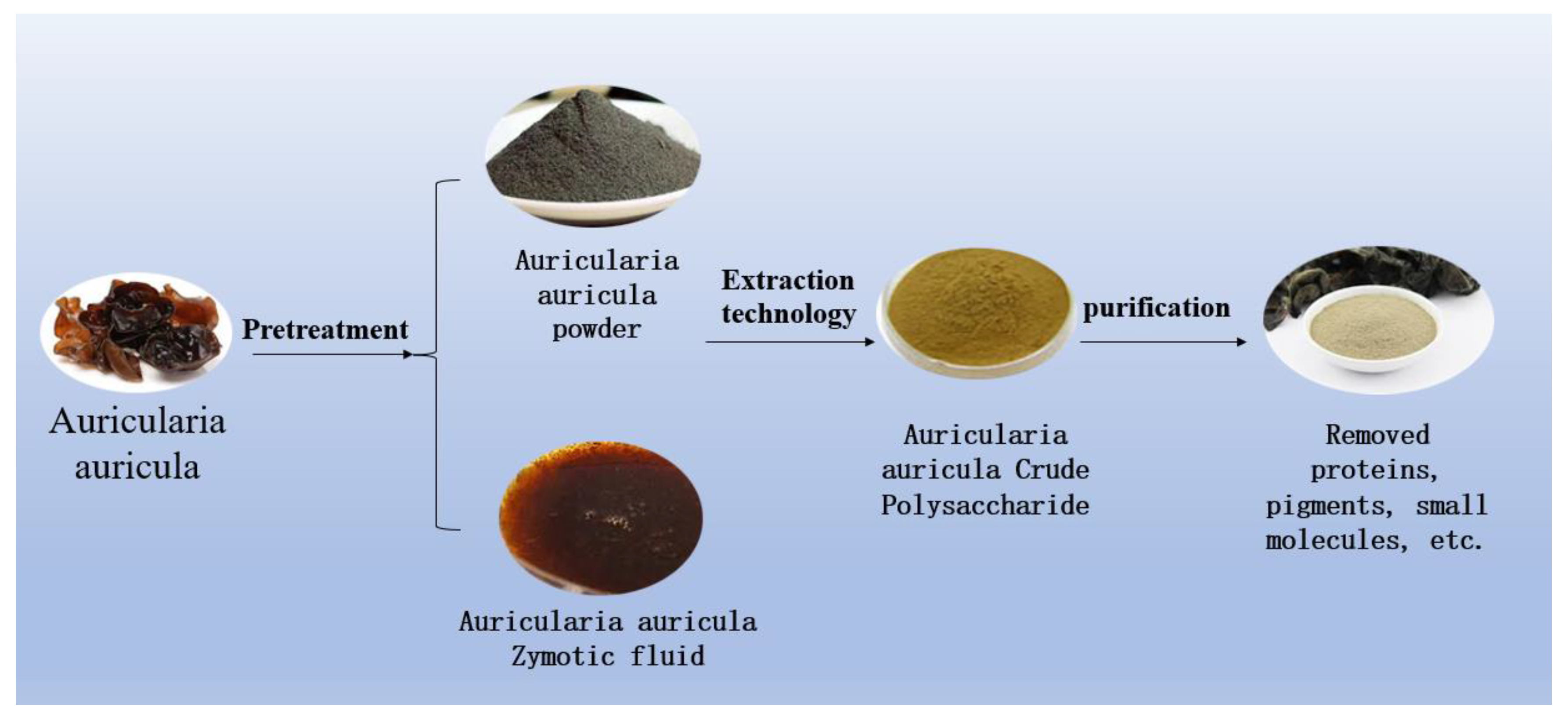 Molecules 28 00582 g003