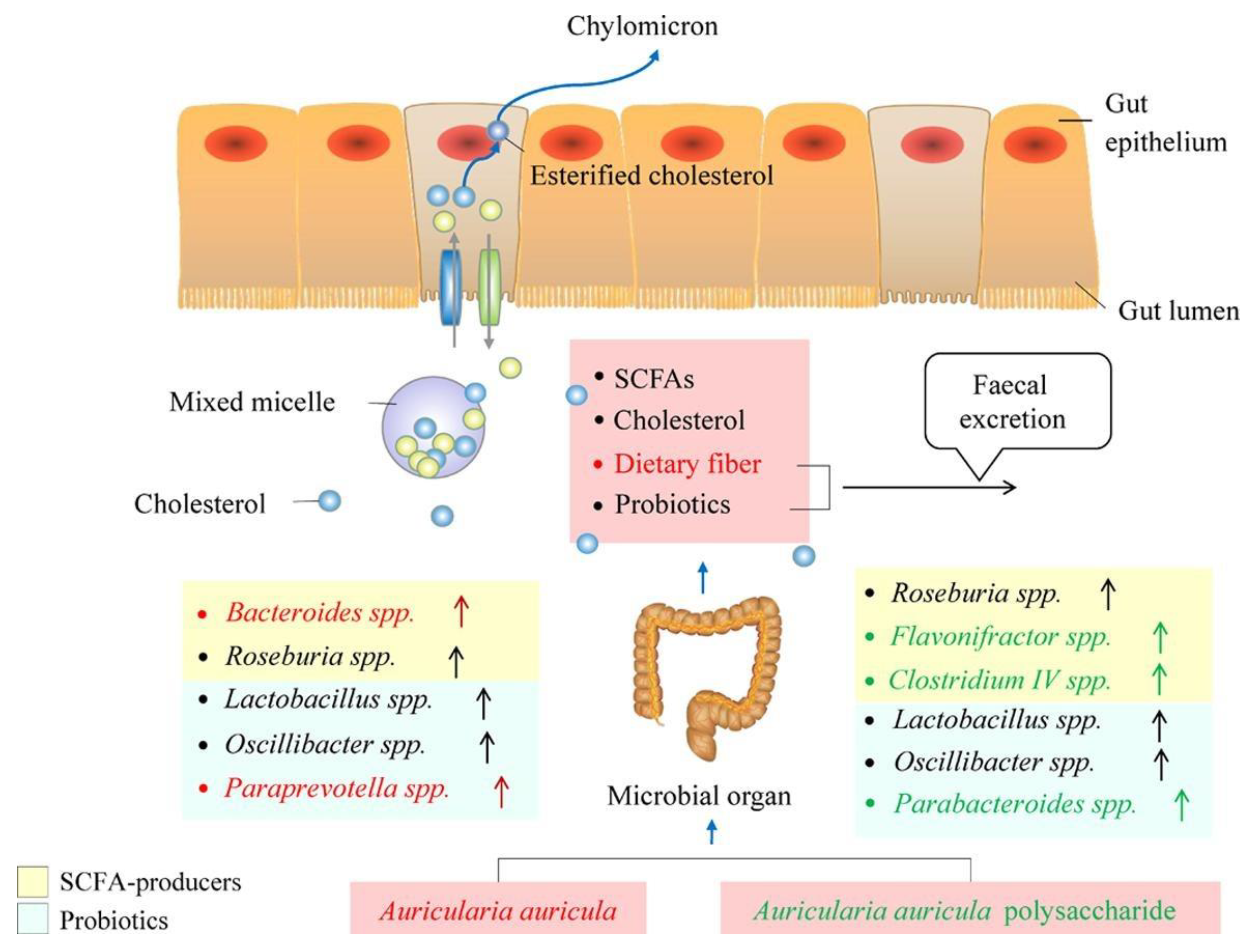 Molecules 28 00582 g005