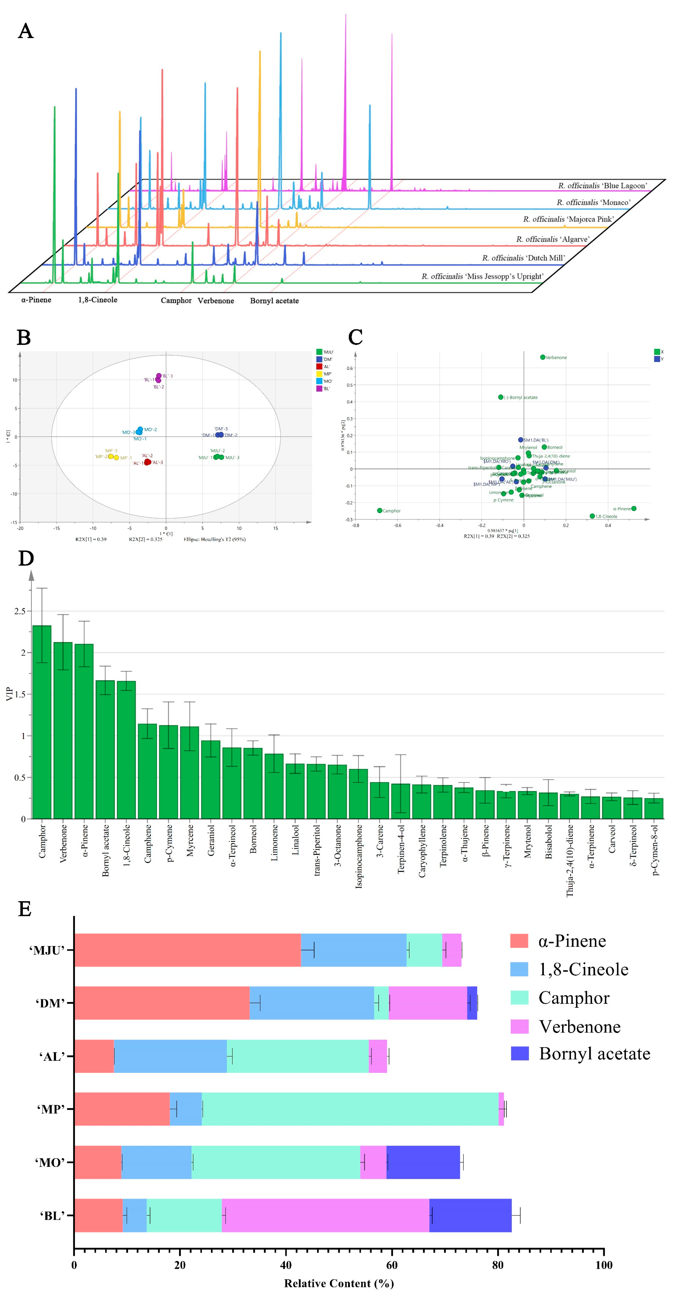 Molecules 28 00586 g001