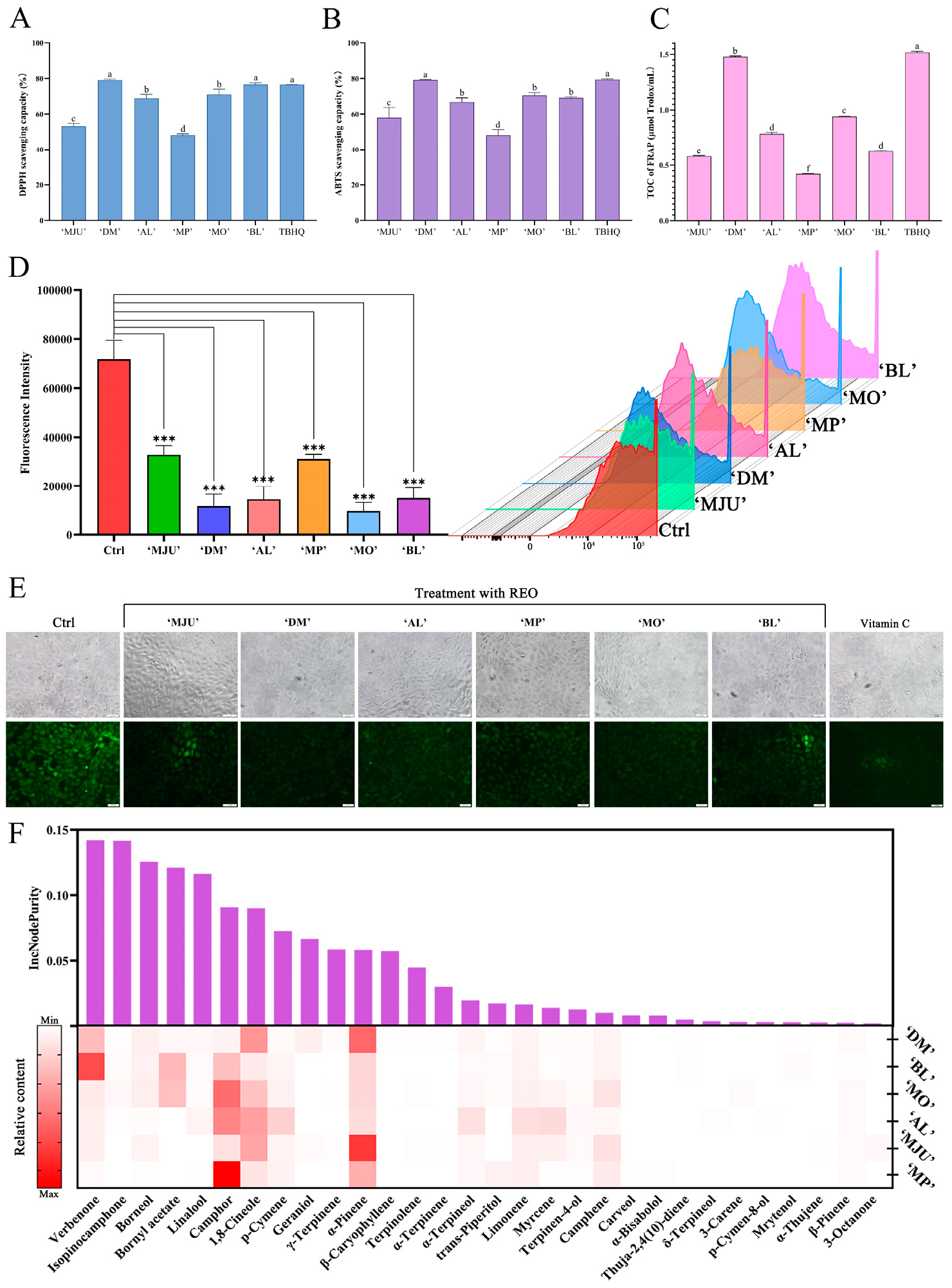 Molecules 28 00586 g002