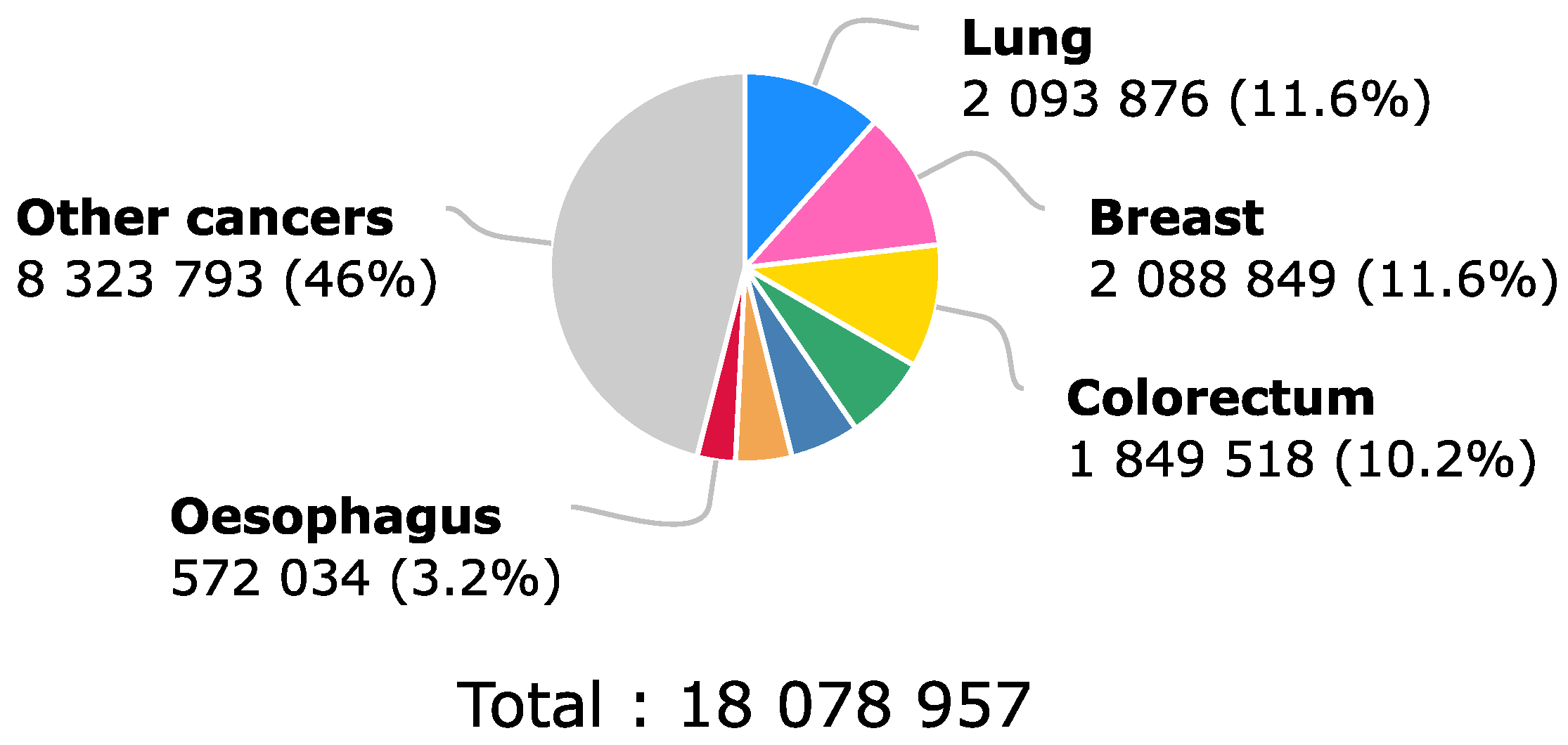 Molecules 28 00589 g001