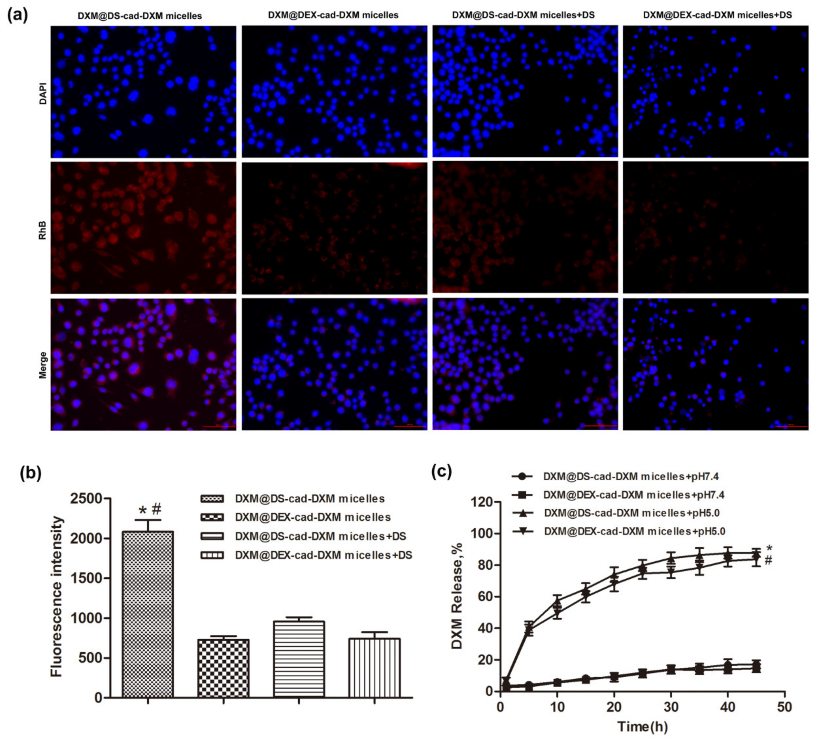 Molecules 28 00591 g004