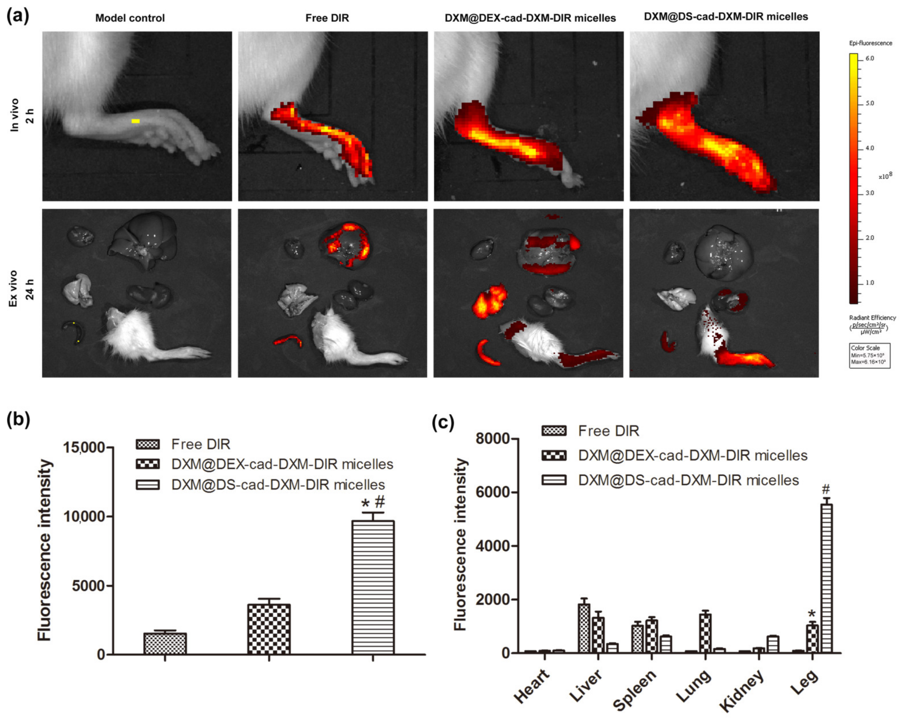 Molecules 28 00591 g006