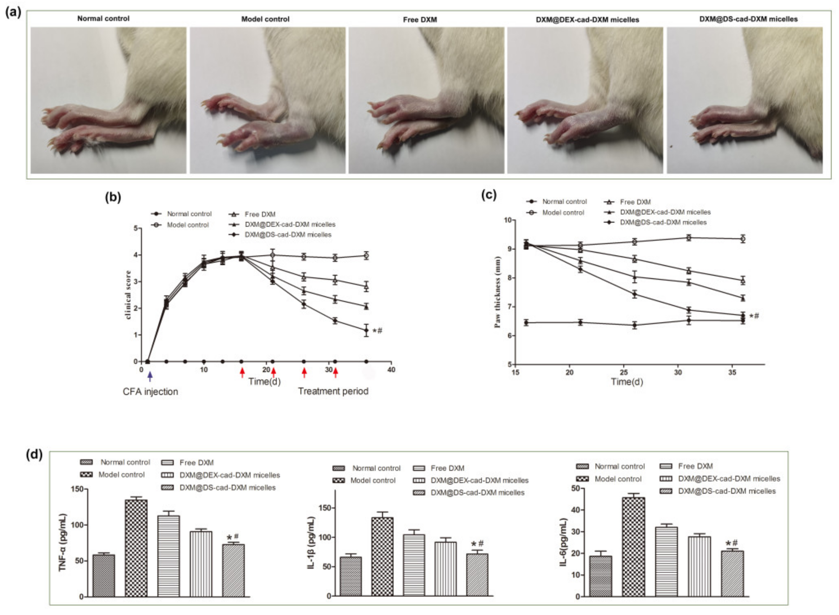 Molecules 28 00591 g007