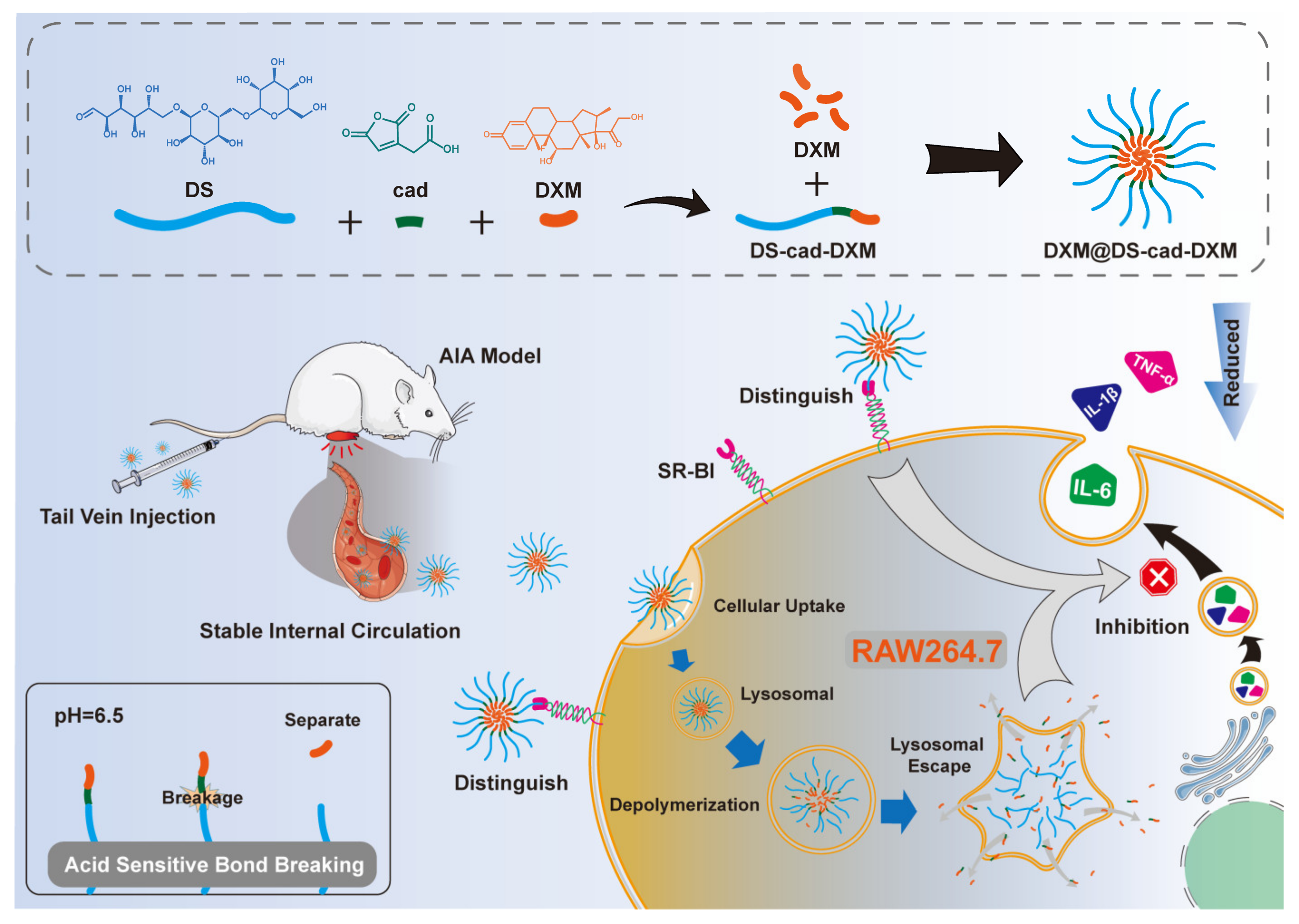 Molecules 28 00591 sch001