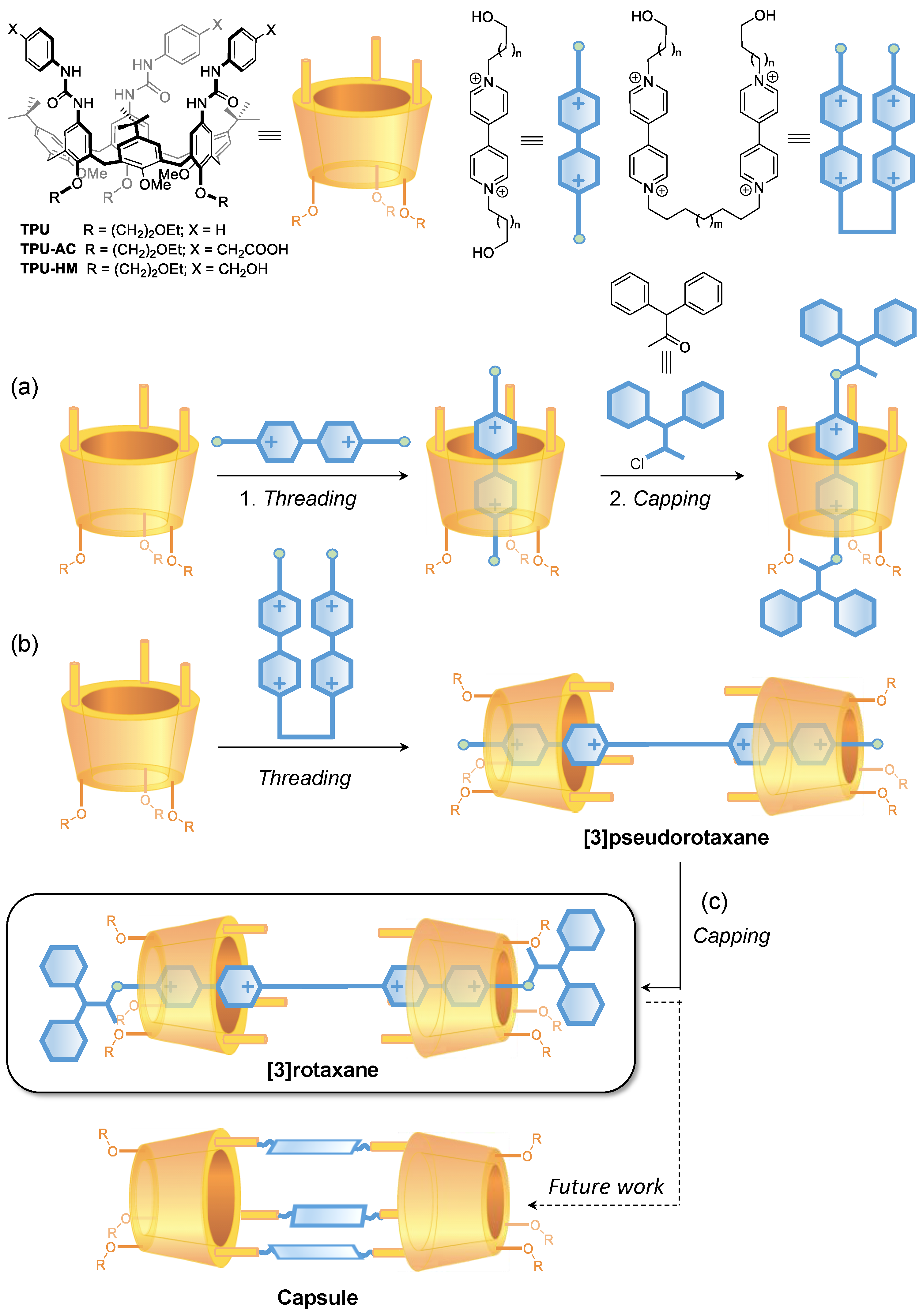 Molecules 28 00595 g001