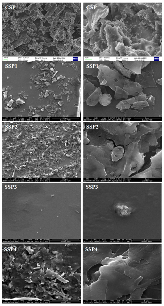 Molecules 28 00596 g006