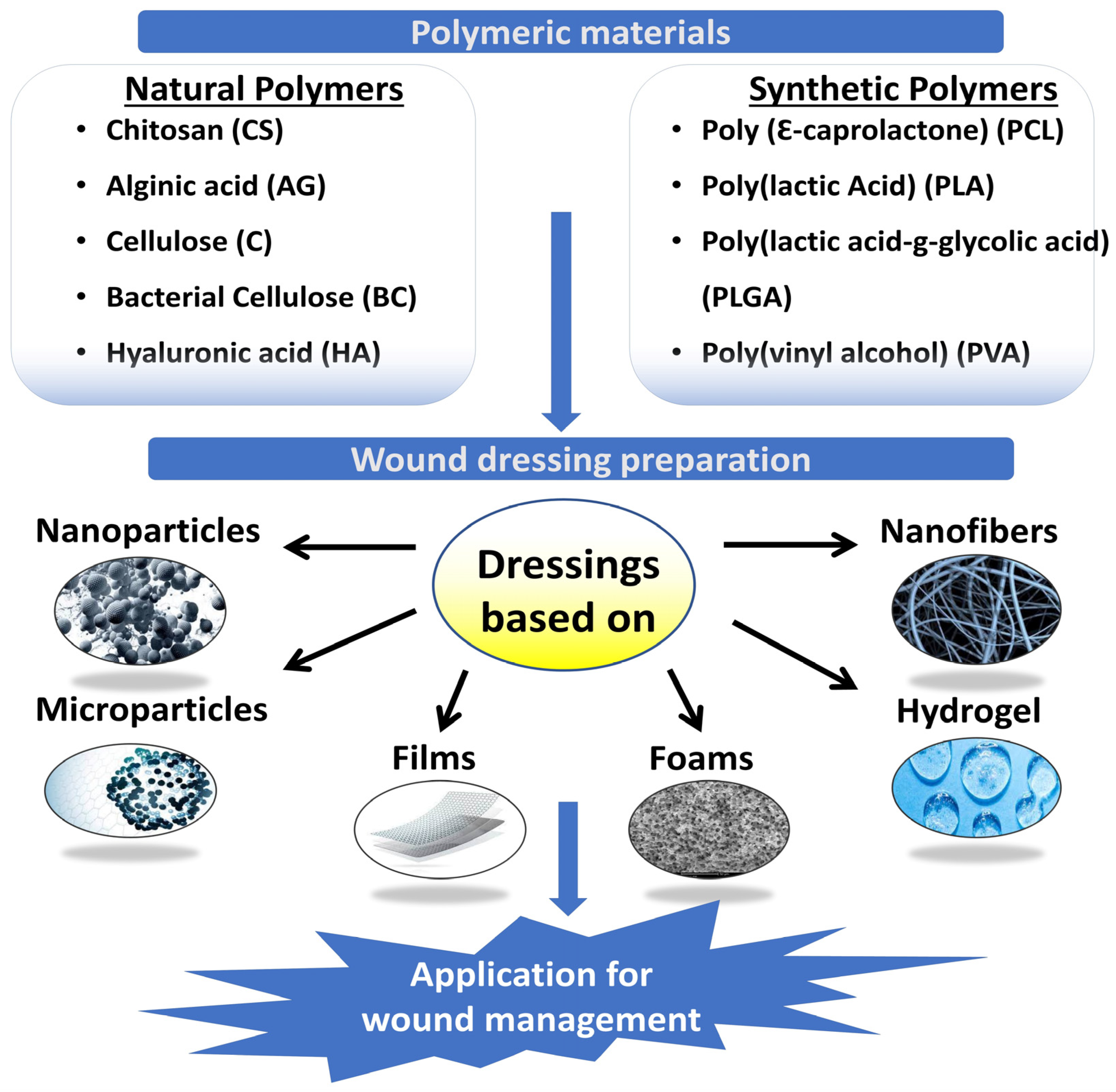 Molecules 28 00604 g002