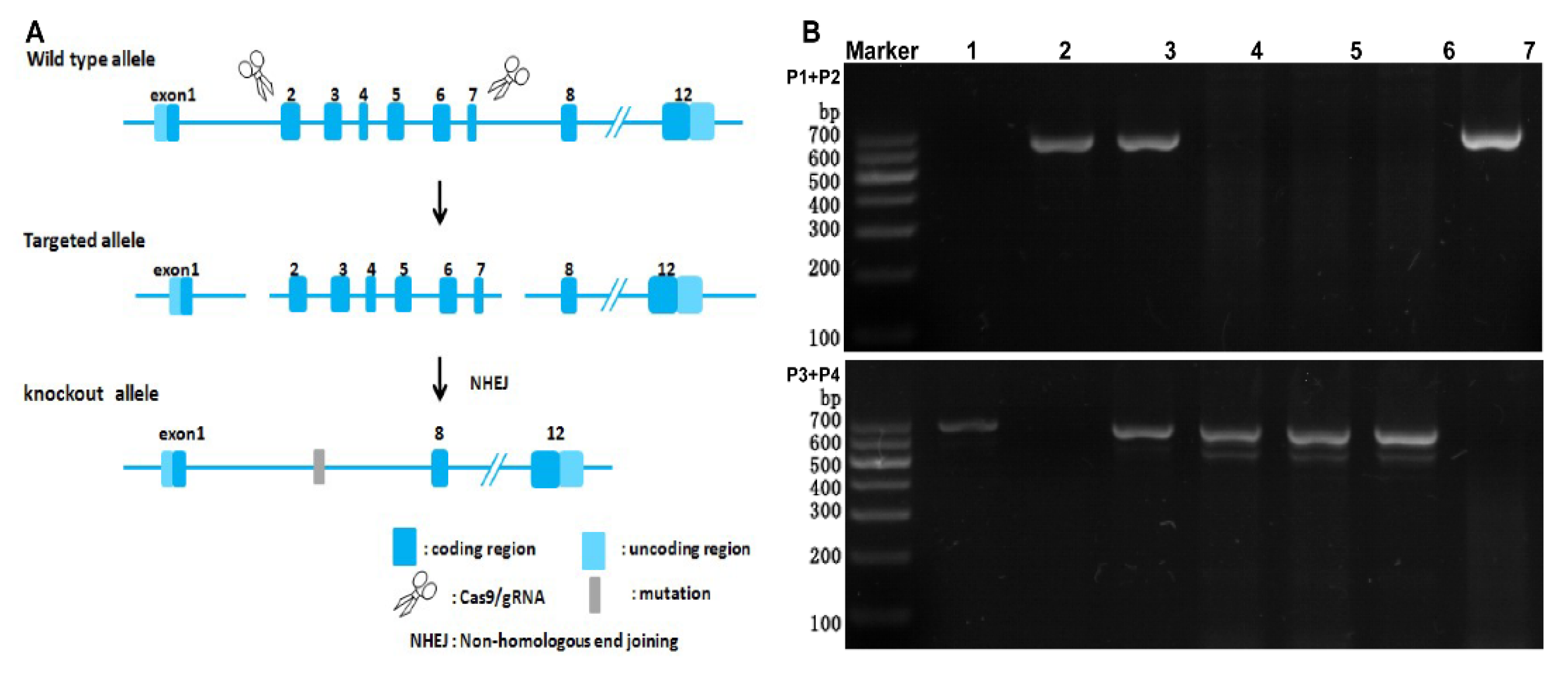 Molecules 28 00610 g001