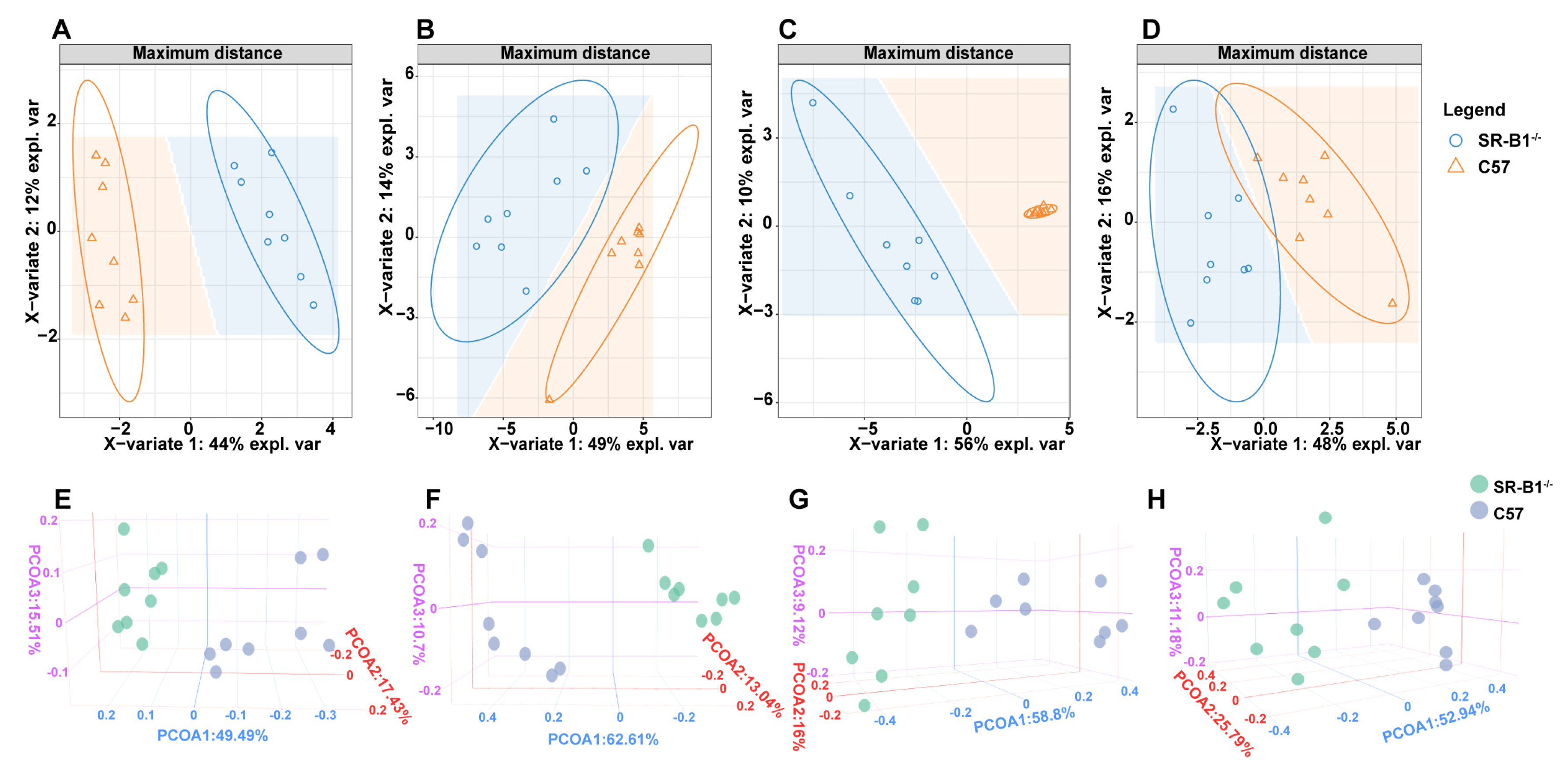 Molecules 28 00610 g002