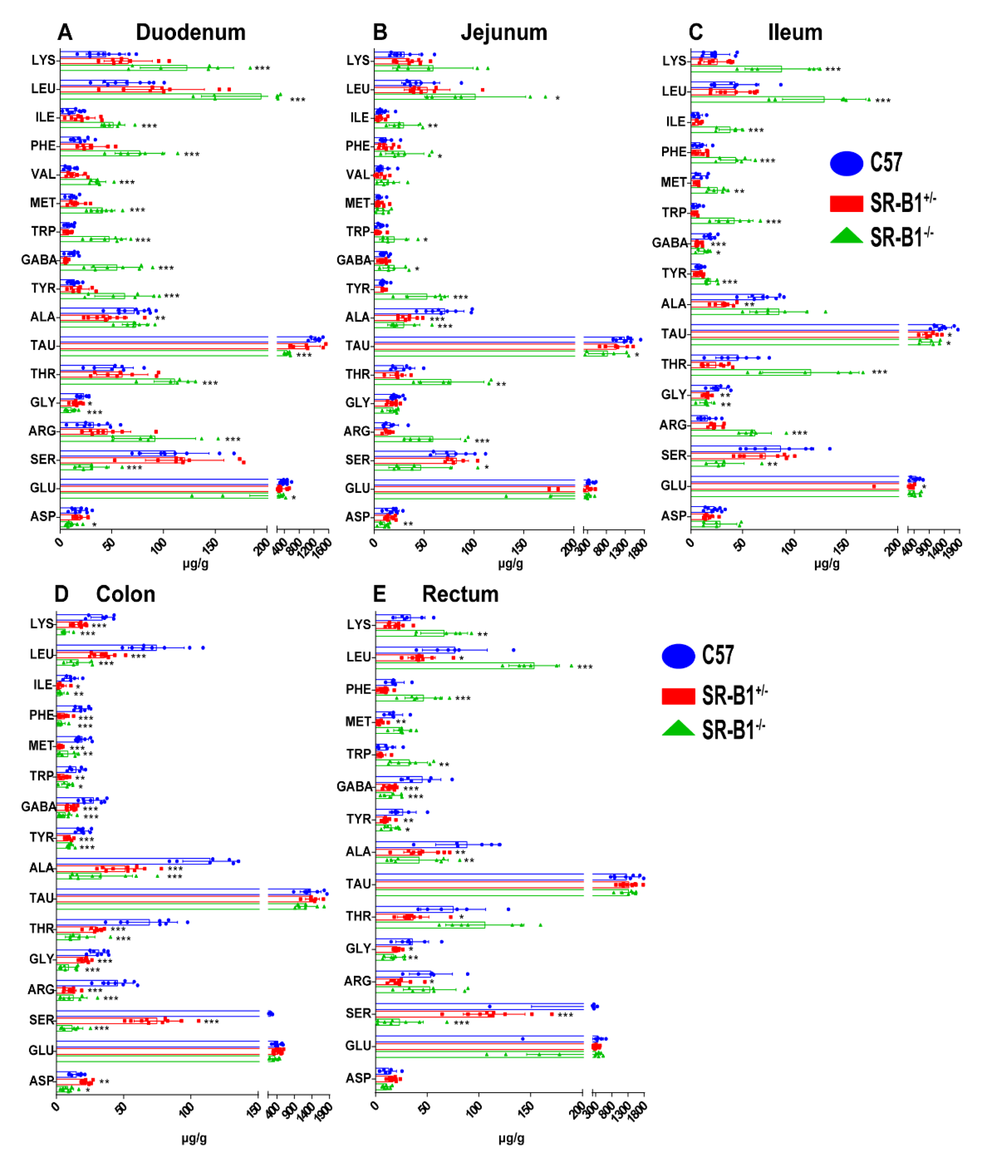 Molecules 28 00610 g005