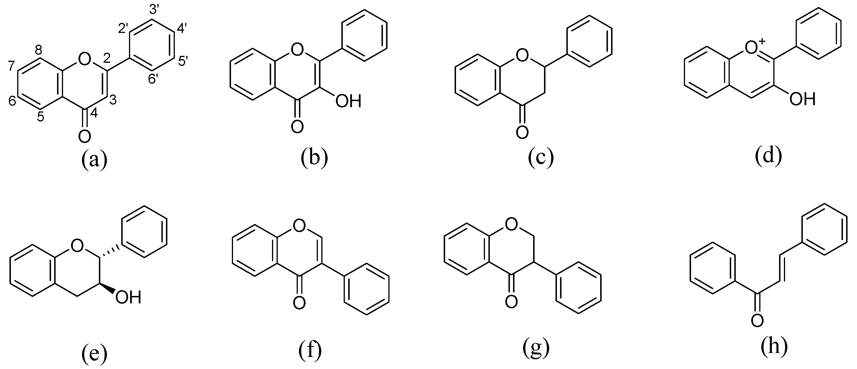 Molecules 28 00613 g001