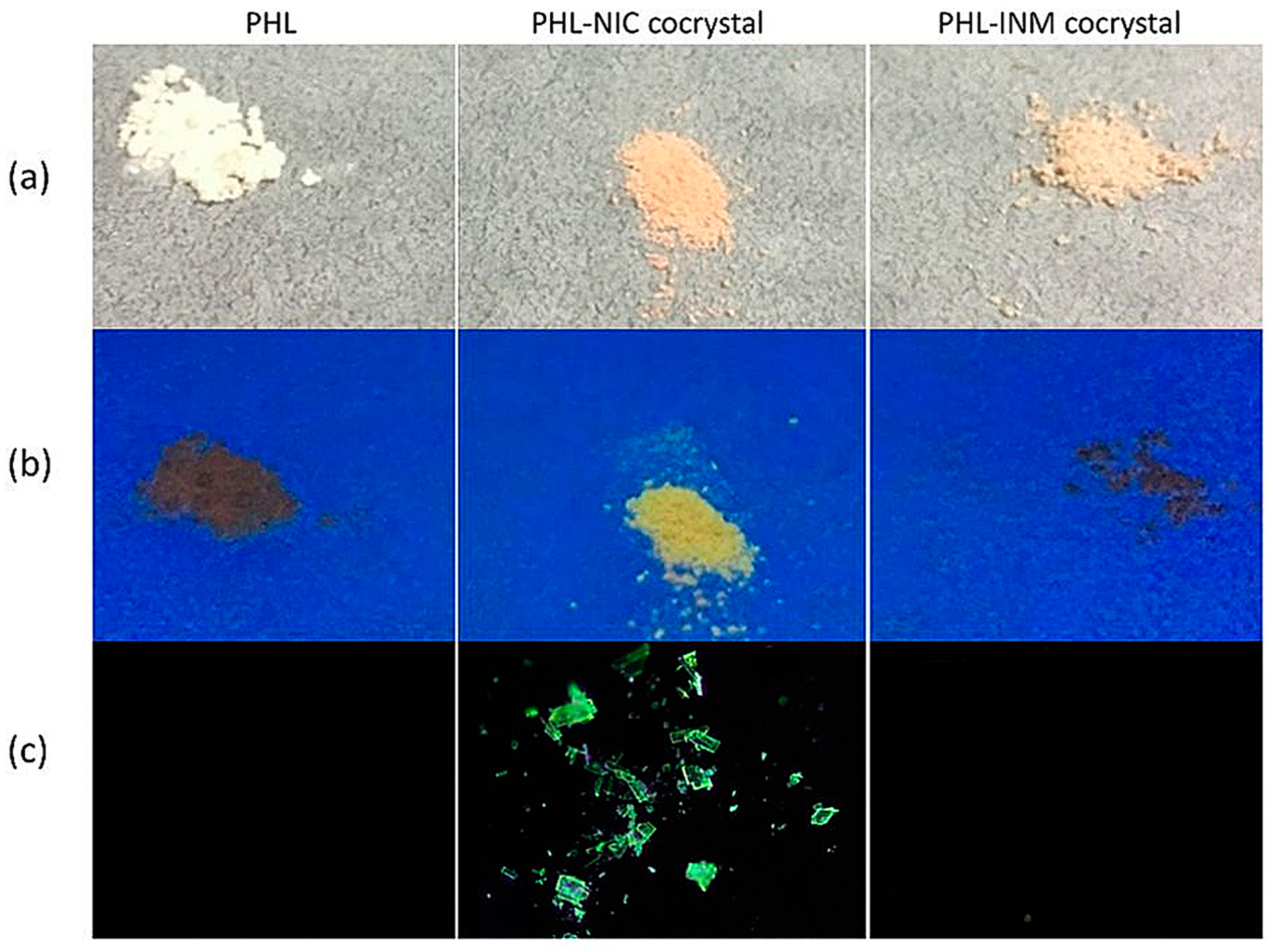 Molecules 28 00613 g015