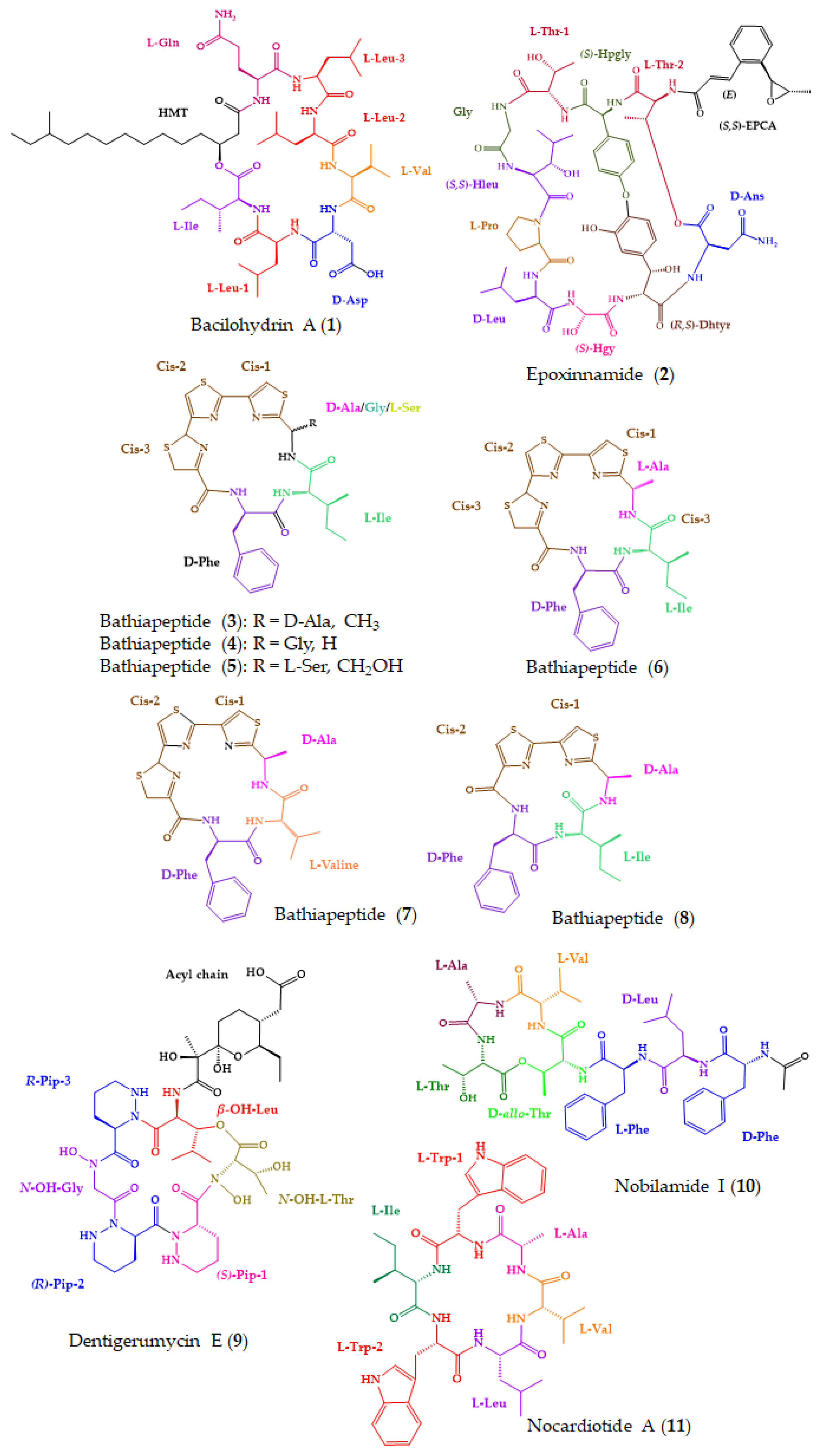 Molecules 28 00615 g006