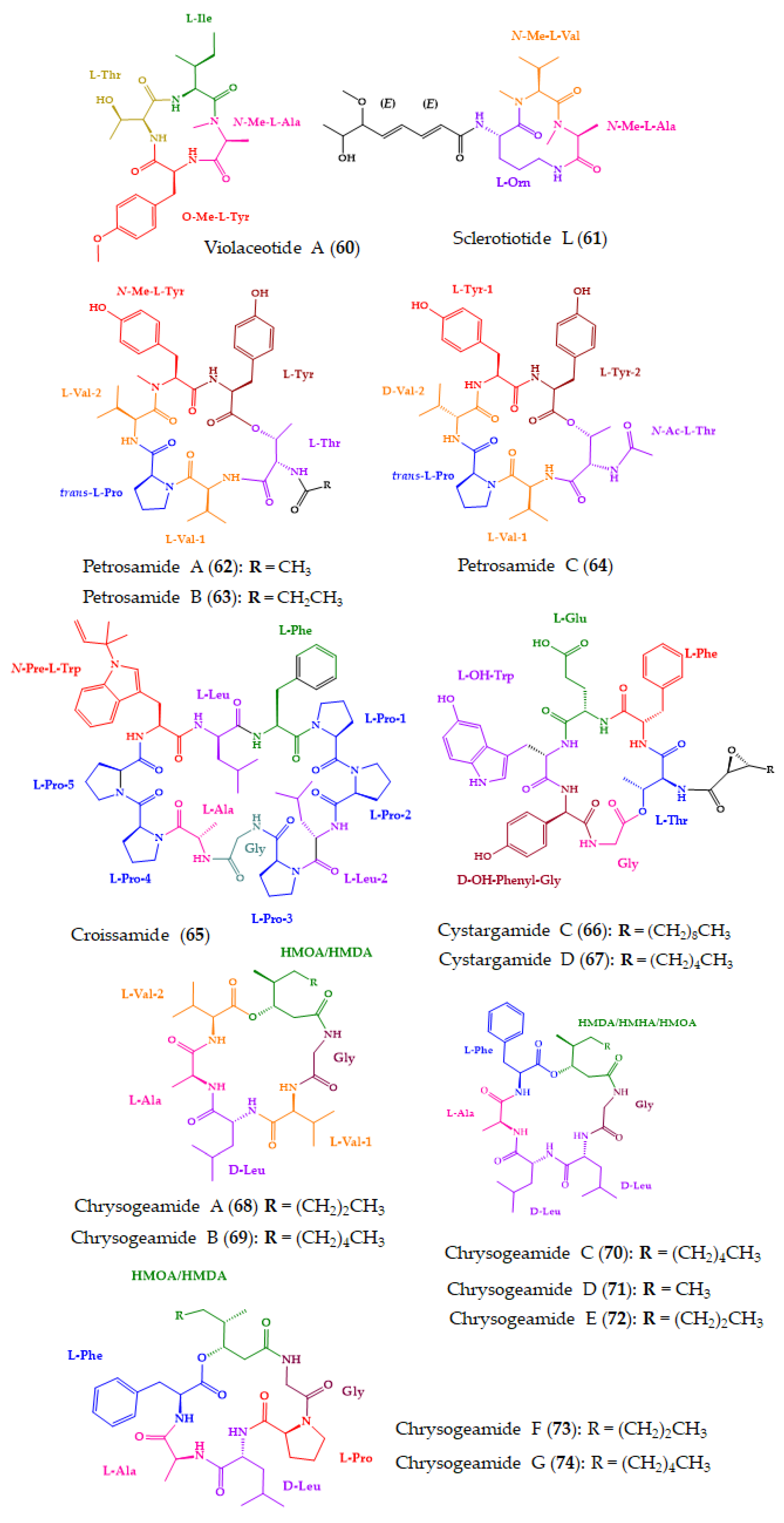 Molecules 28 00615 g012
