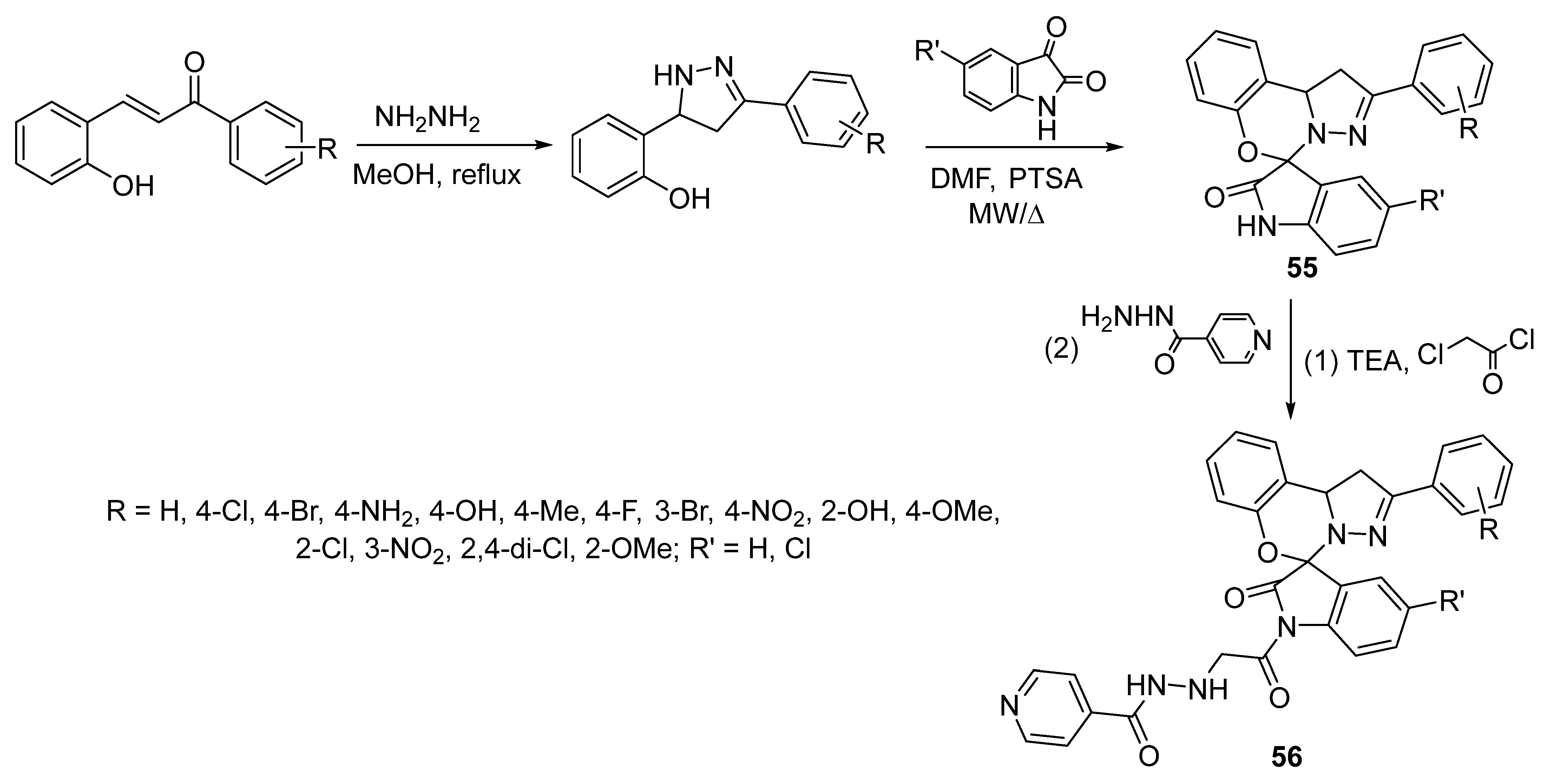 Molecules 28 00618 sch012