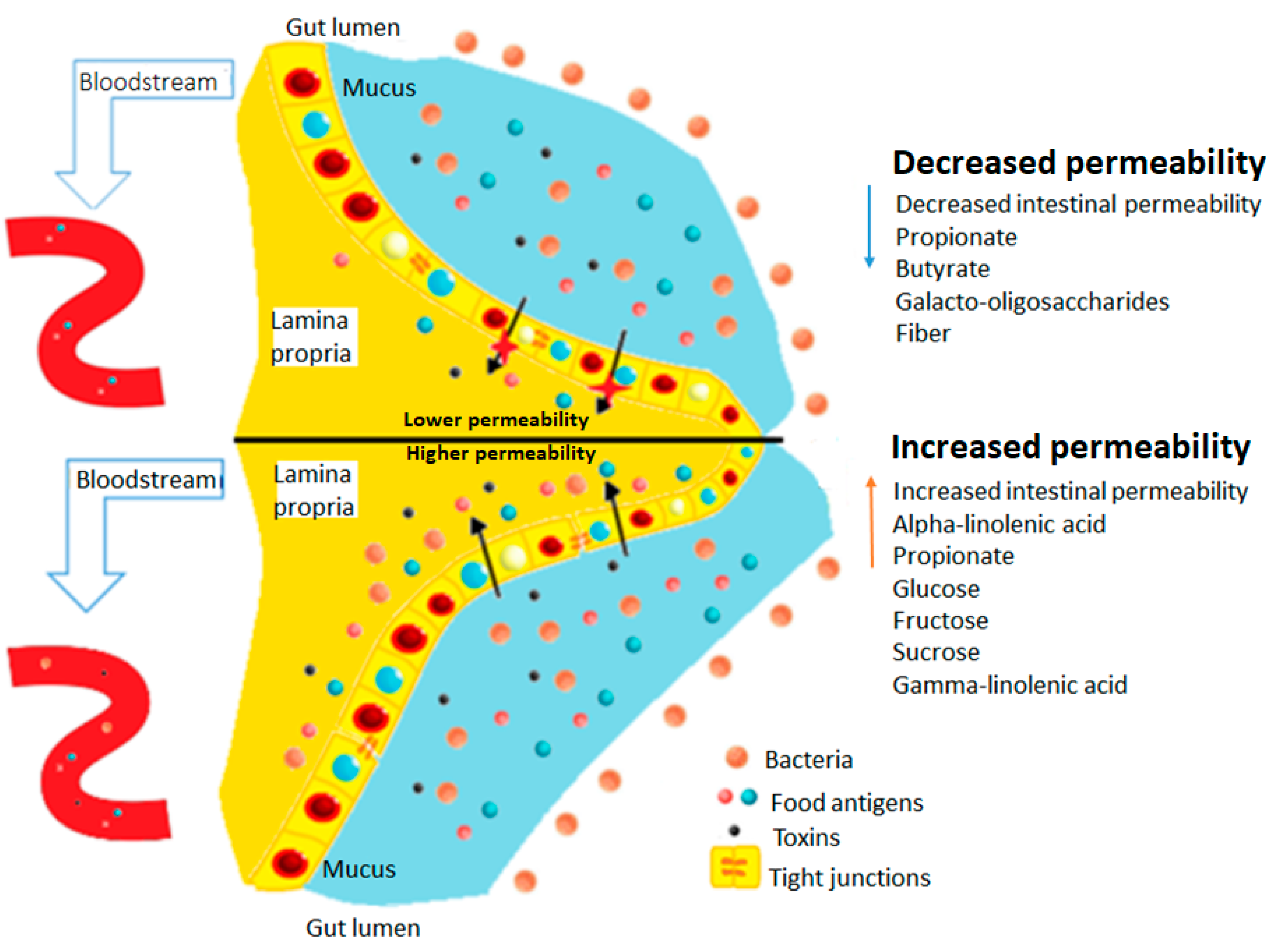 Molecules 28 00619 g005