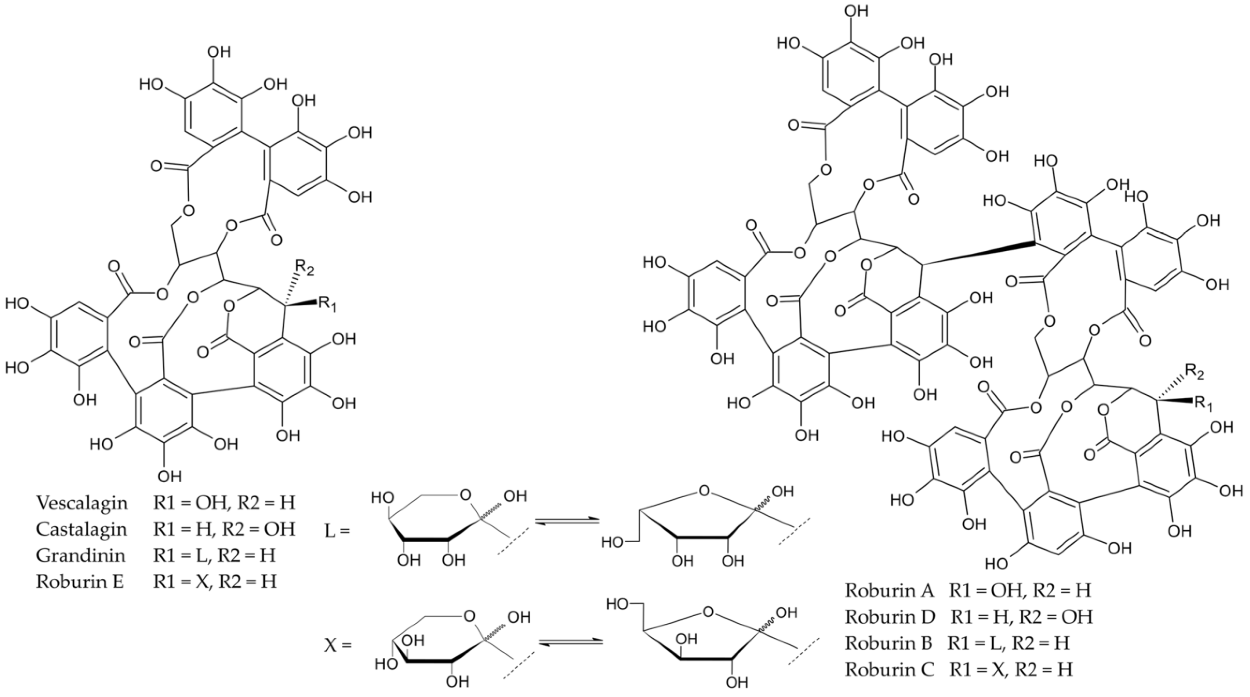 Molecules 28 00620 g001