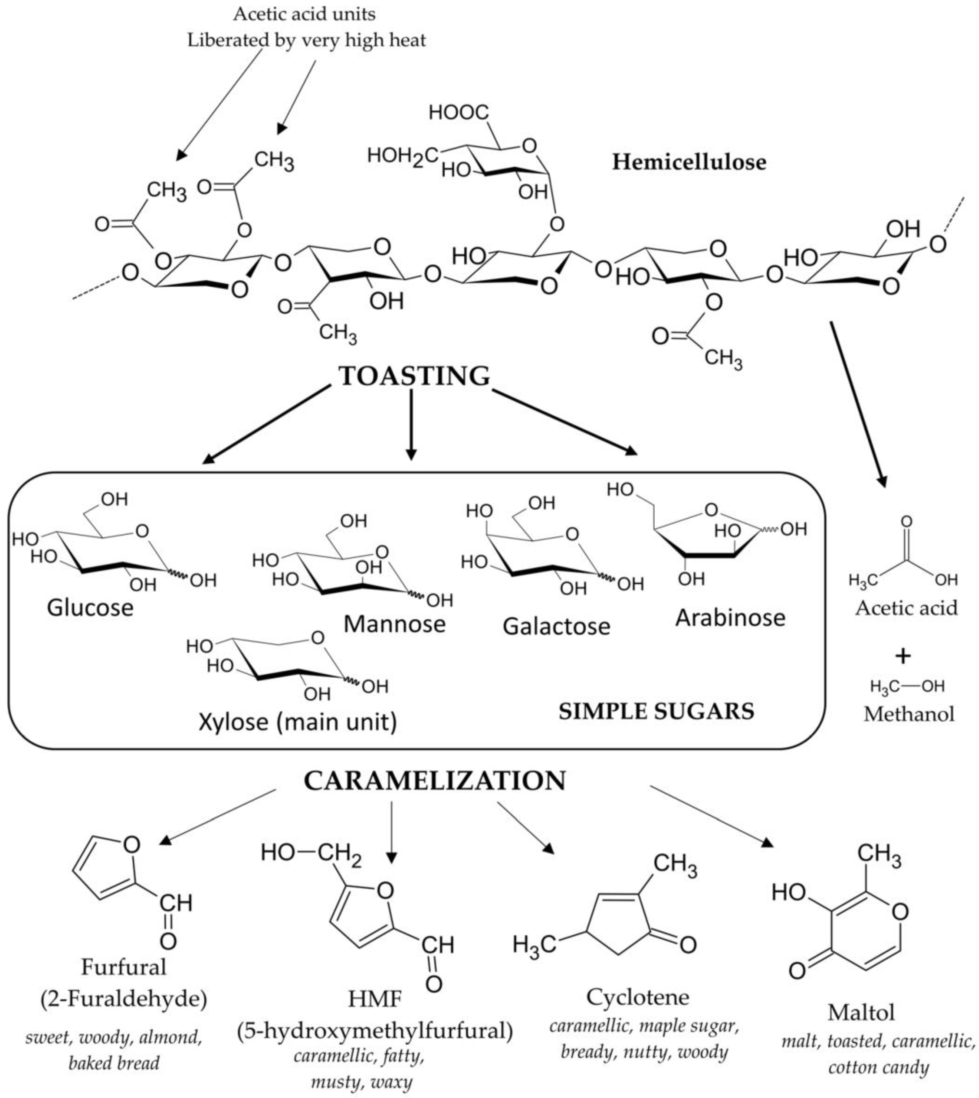 Molecules 28 00620 g004