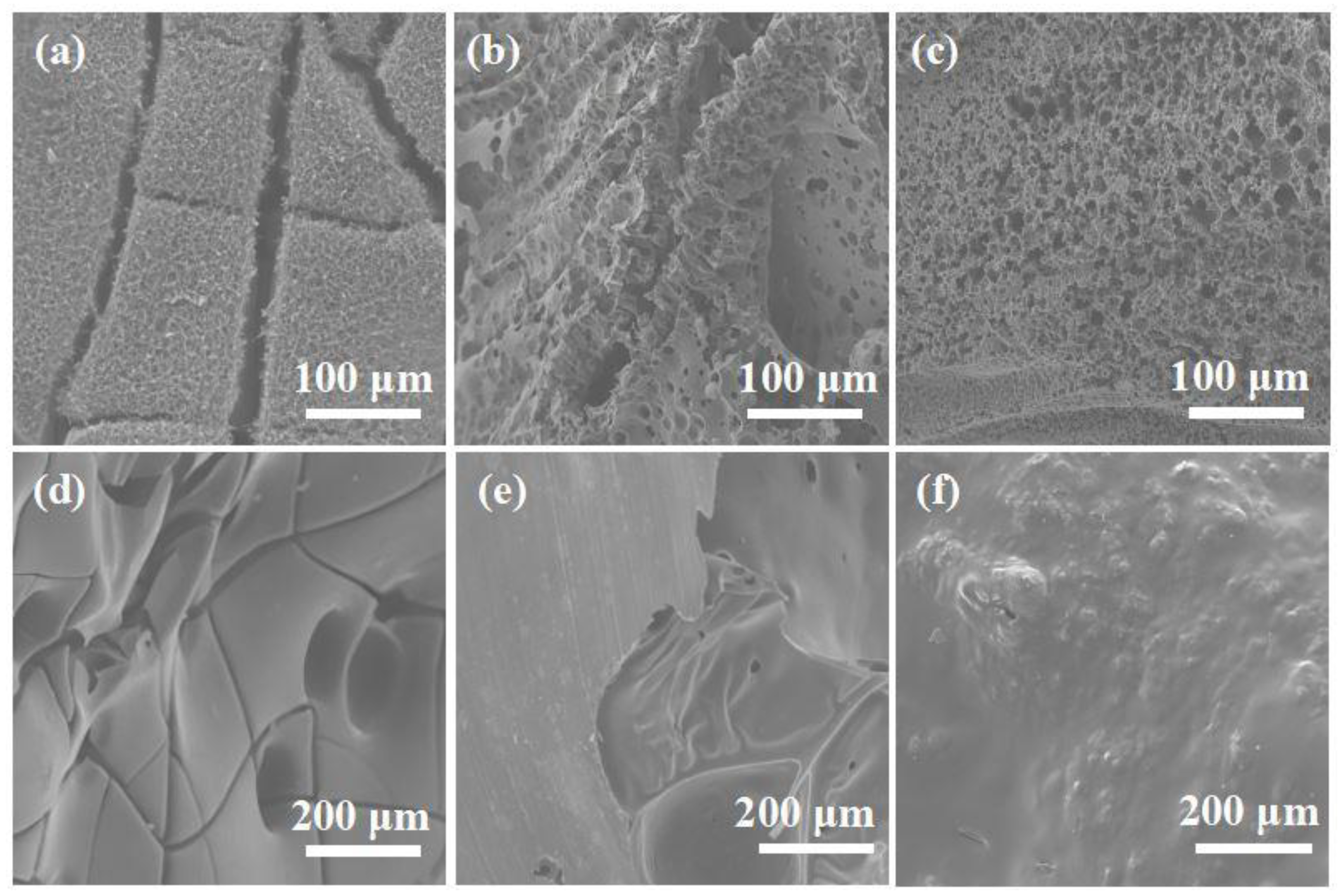 Molecules 28 00623 g006