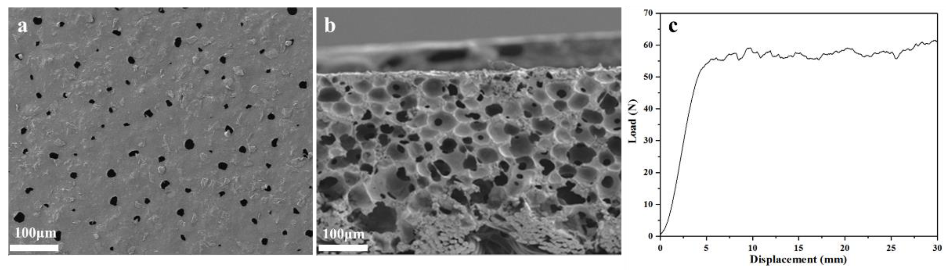 Molecules 28 00625 g005