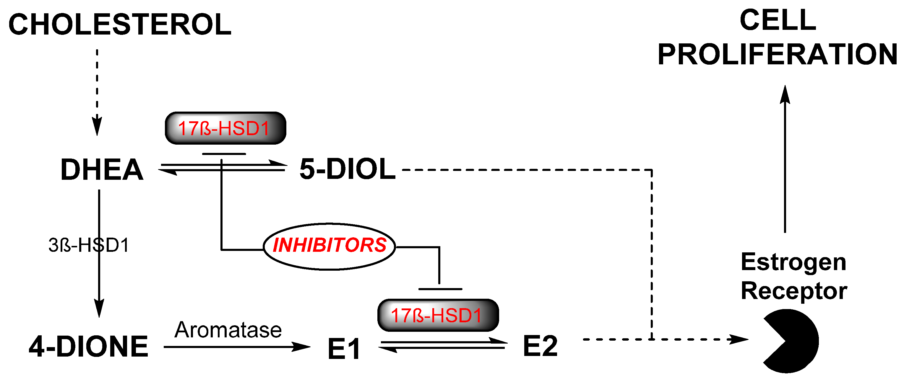 Molecules 28 00632 g001