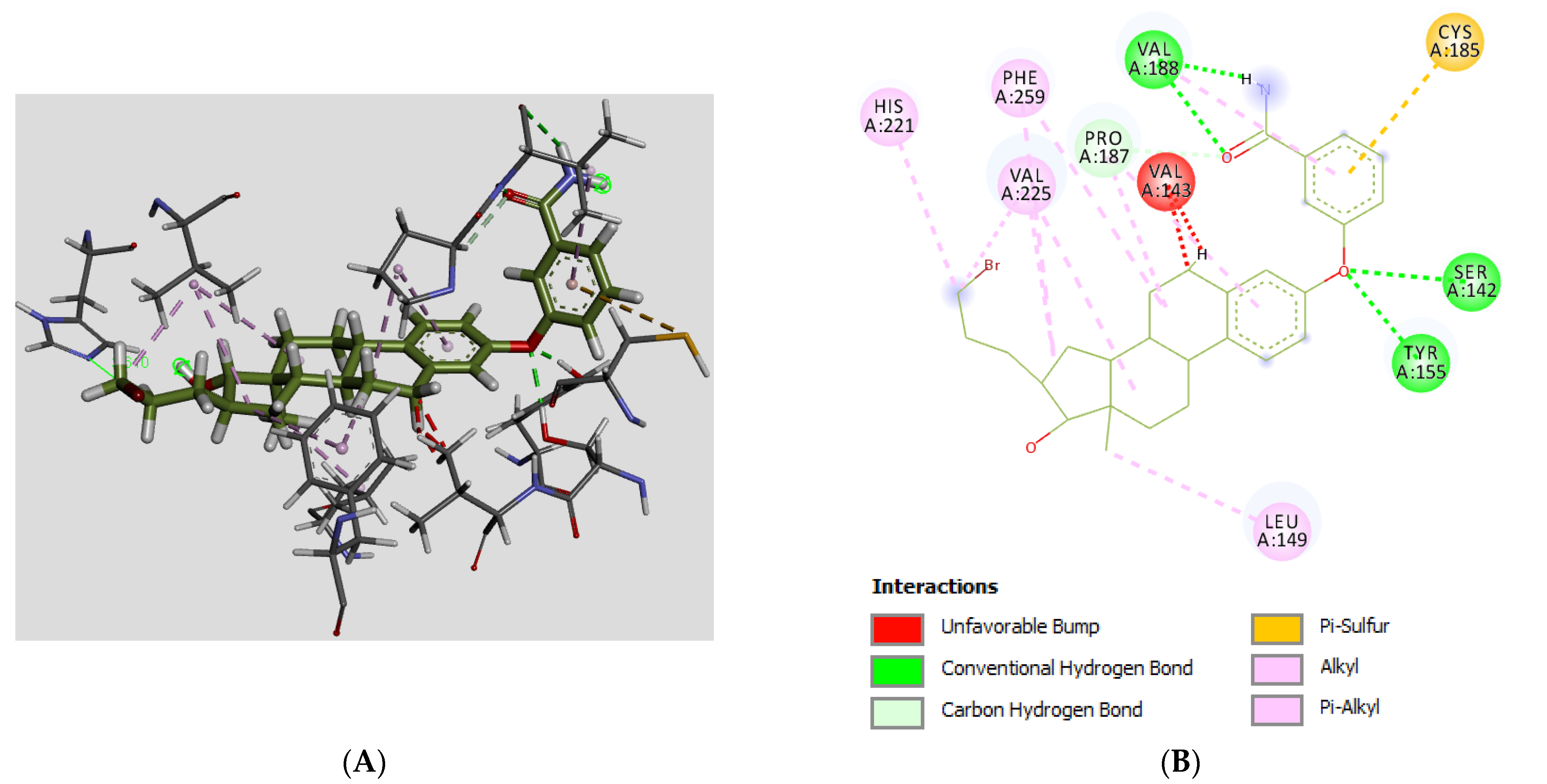 Molecules 28 00632 g006a