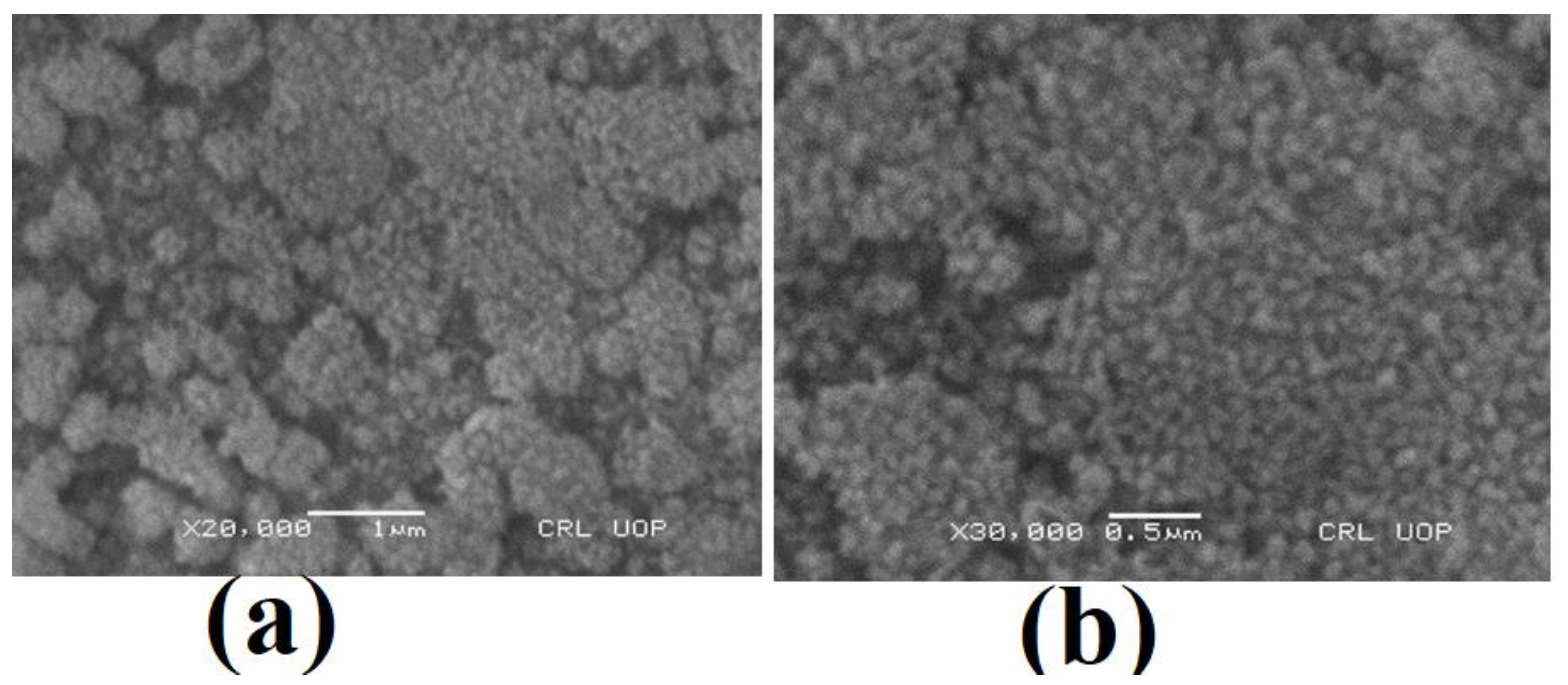 Molecules 28 00637 g005 Molecules 28 00637 g005