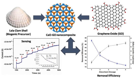 Molecules 28 00639 g002