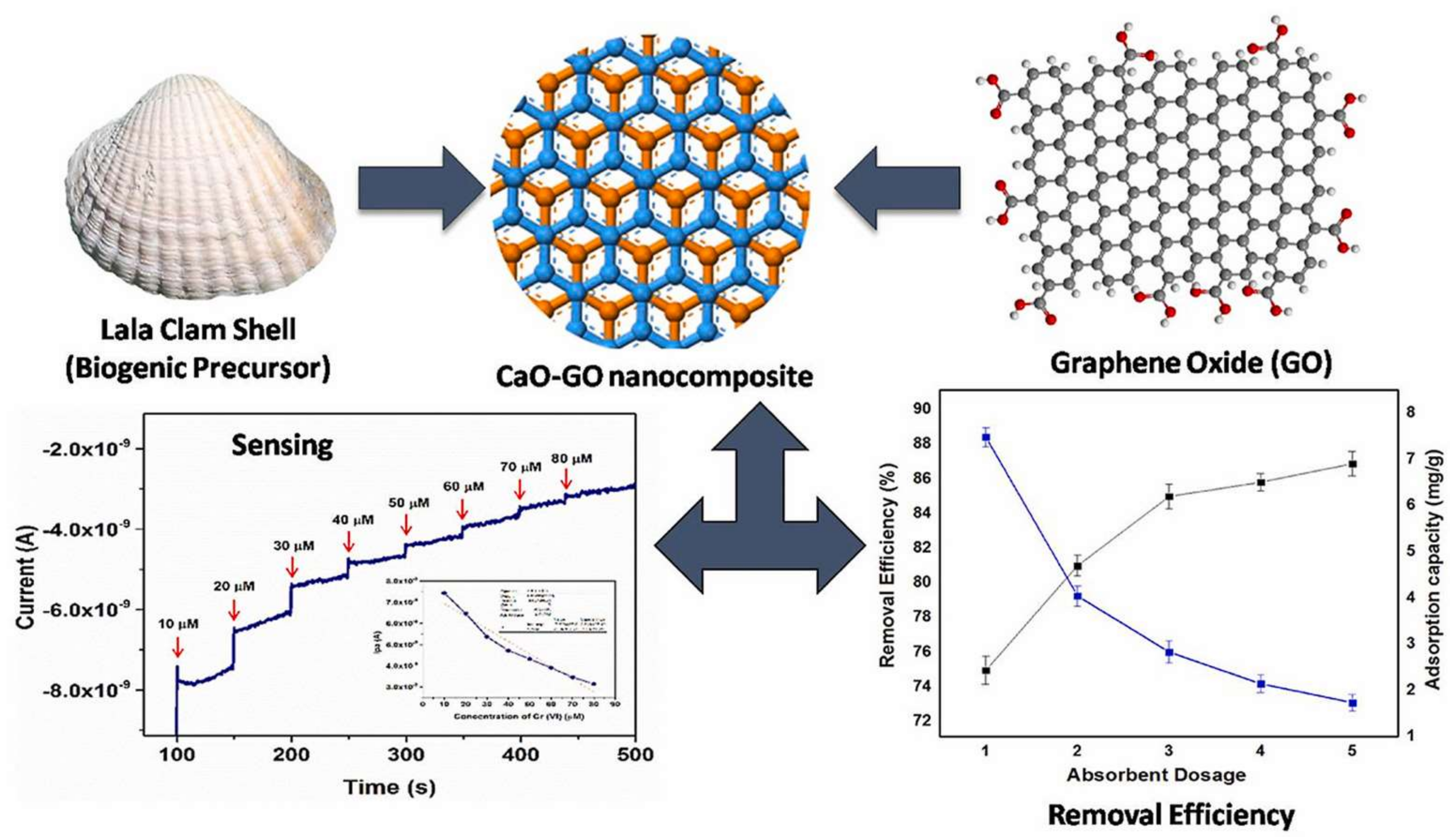 Molecules 28 00639 g002
