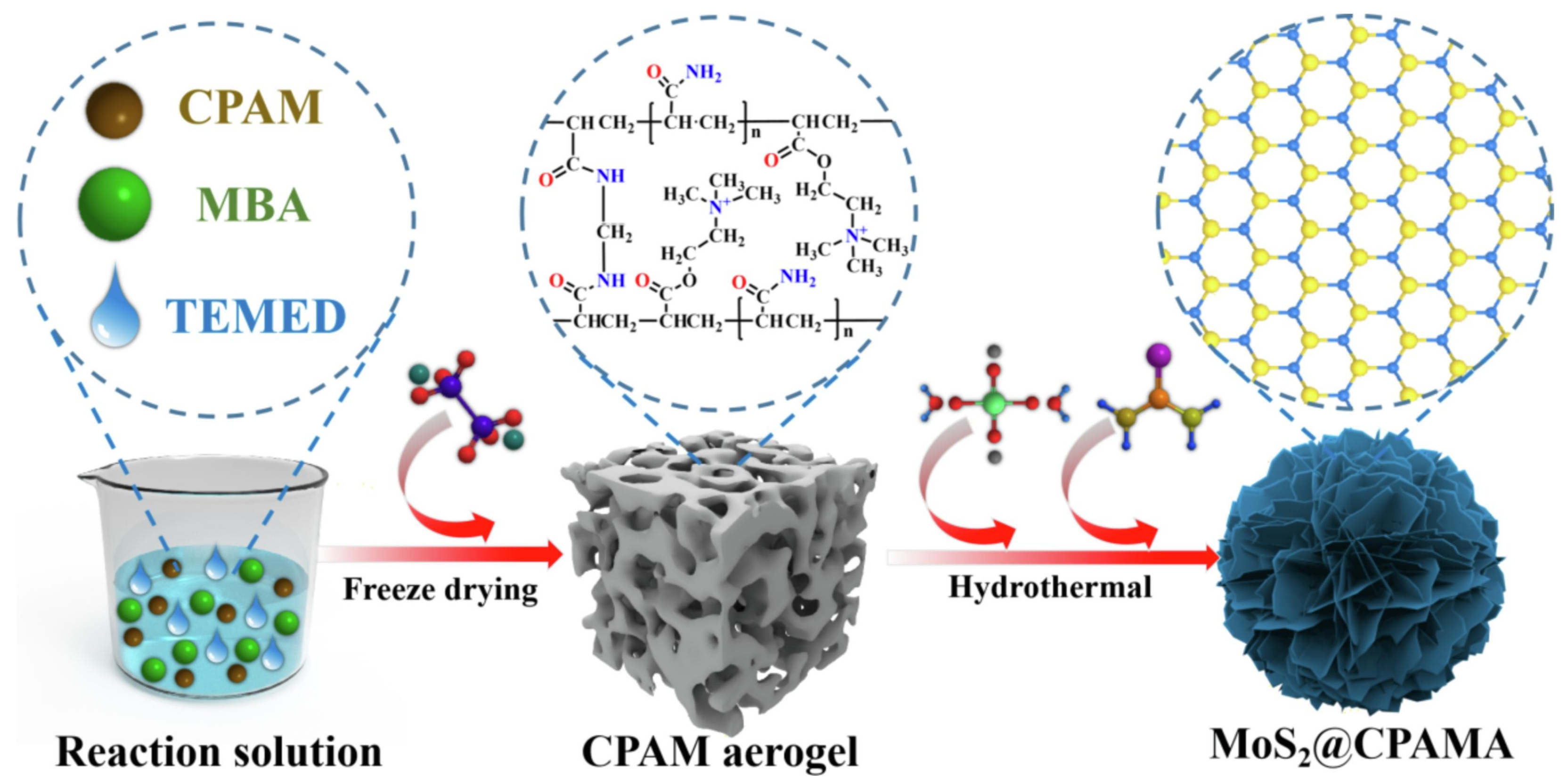 Molecules 28 00639 g006
