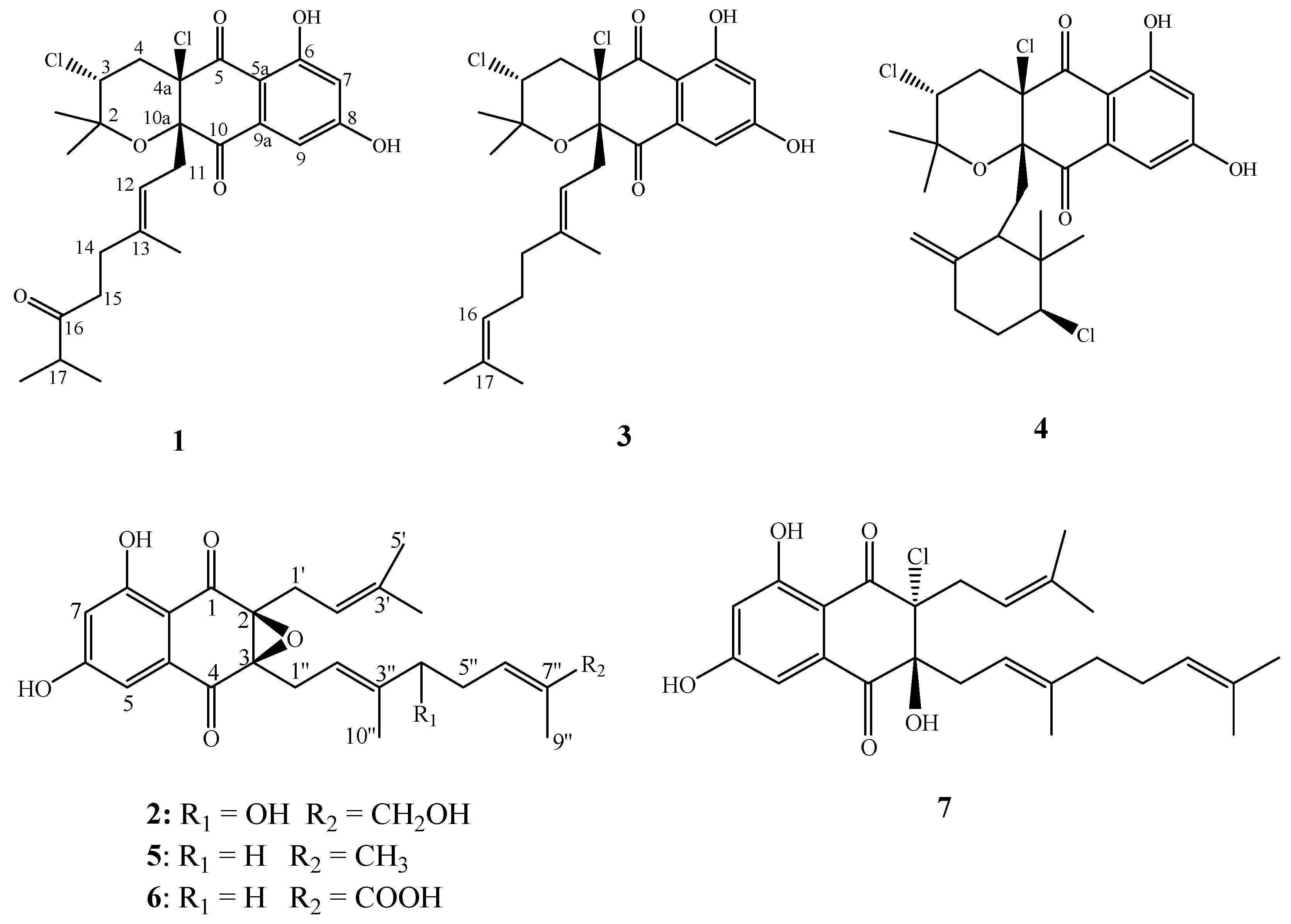 Molecules 28 00640 g001 Molecules 28 00640 g001