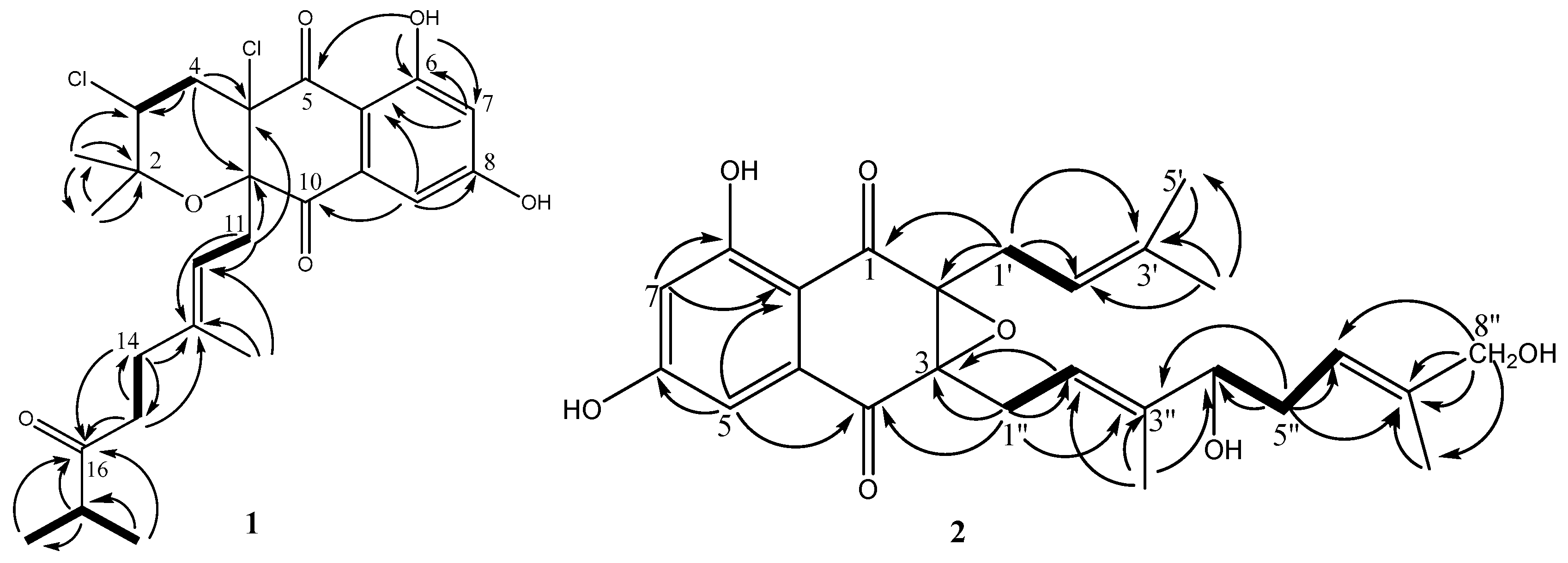 Molecules 28 00640 g004 Molecules 28 00640 g004