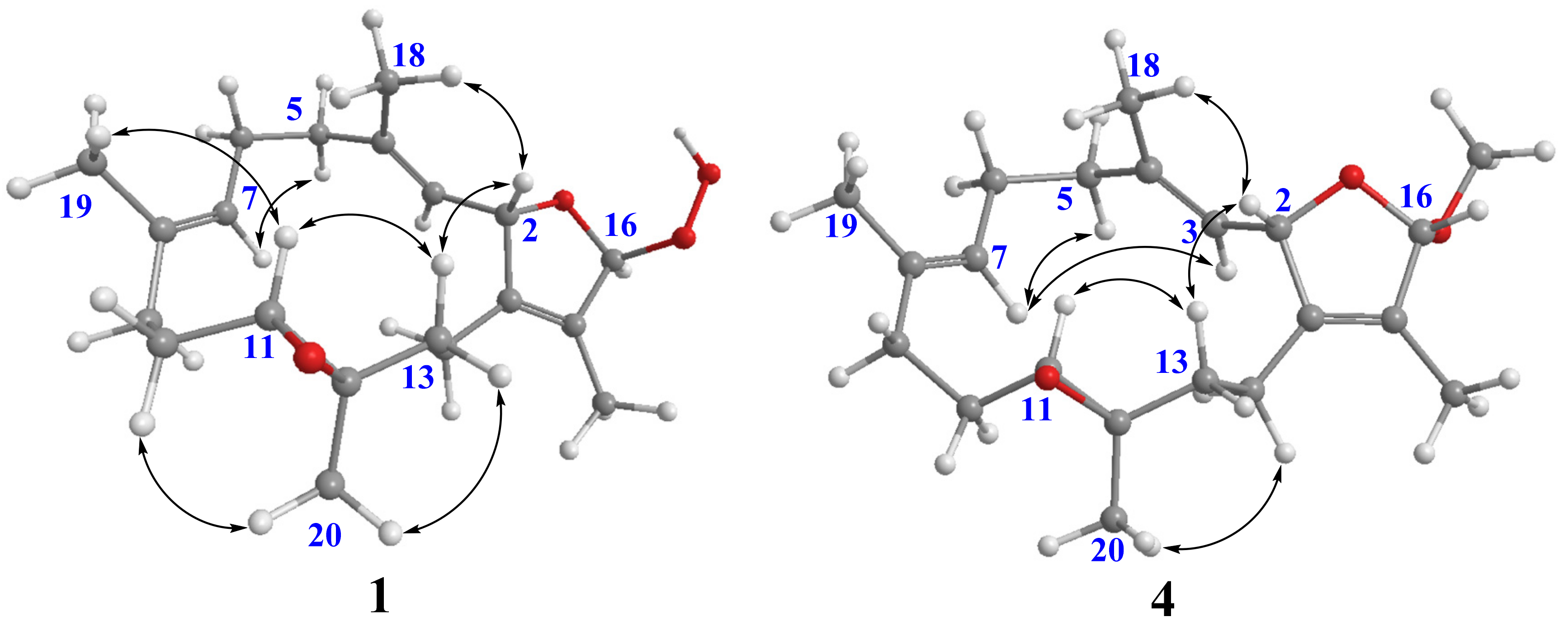 Molecules 28 00641 g003 Molecules 28 00641 g003