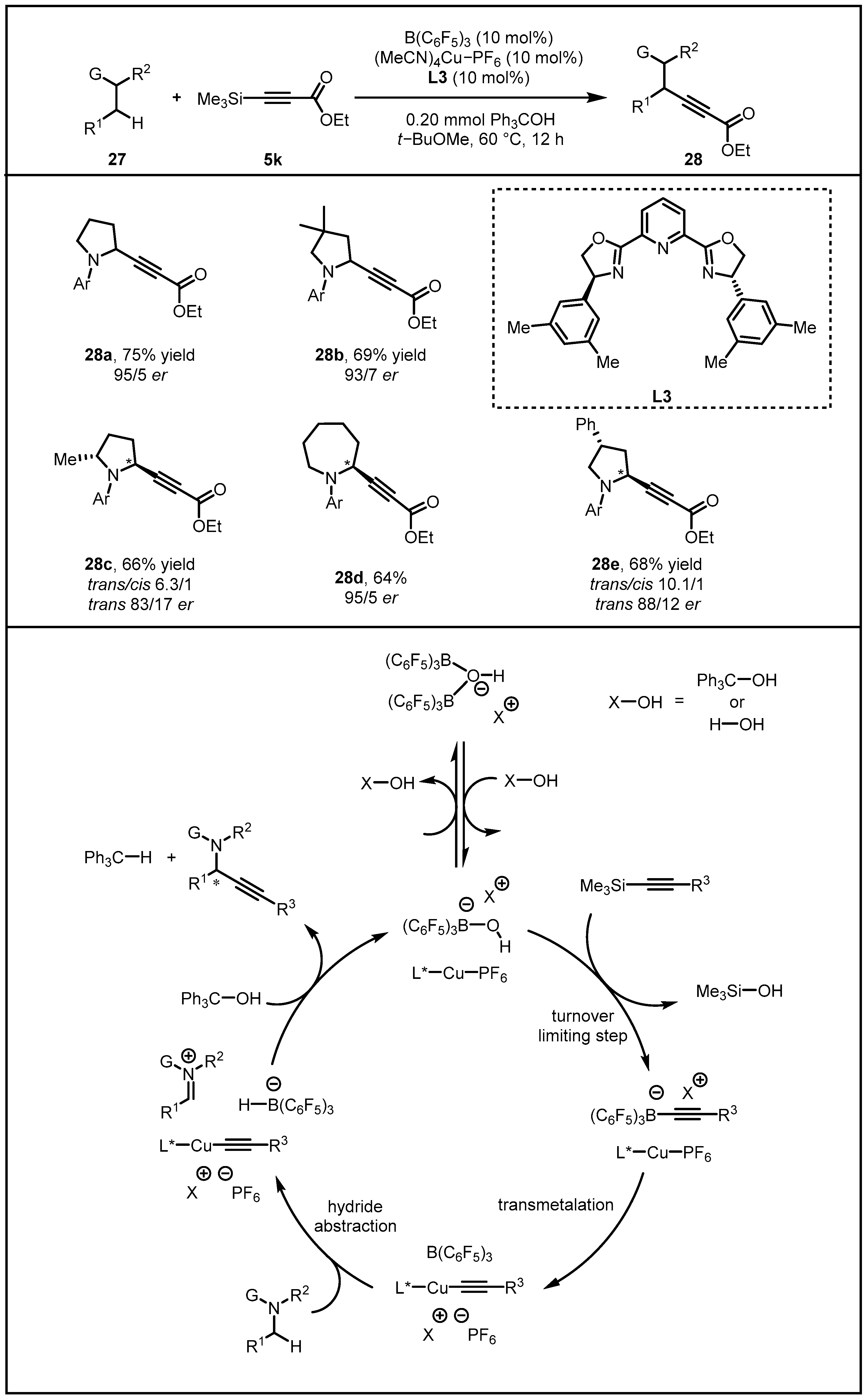 Molecules 28 00642 g011