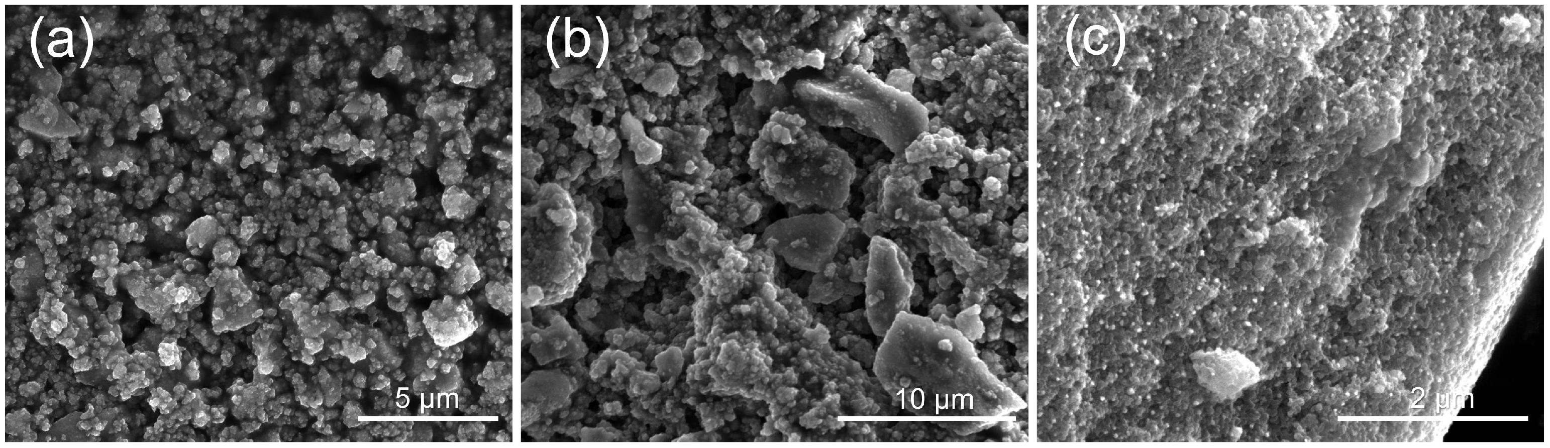 Molecules 28 00645 g002