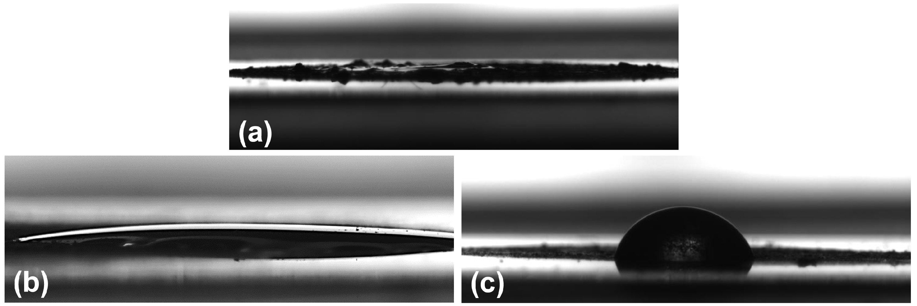 Molecules 28 00645 g008