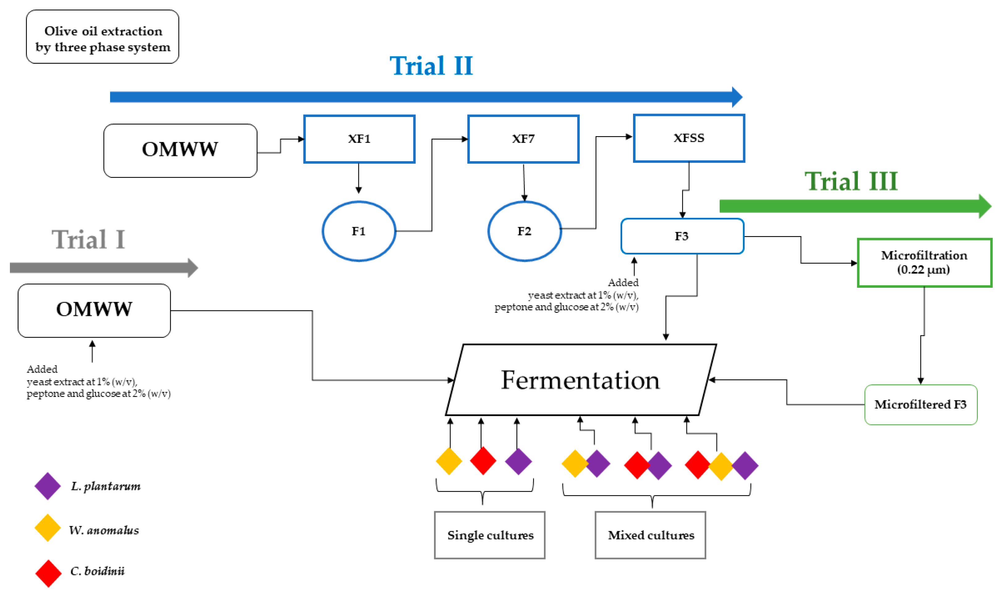 Molecules 28 00646 g004