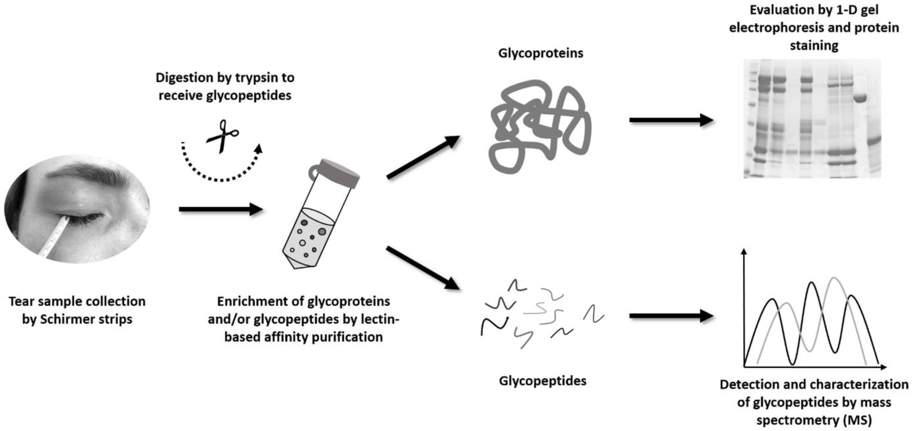 Molecules 28 00648 g001