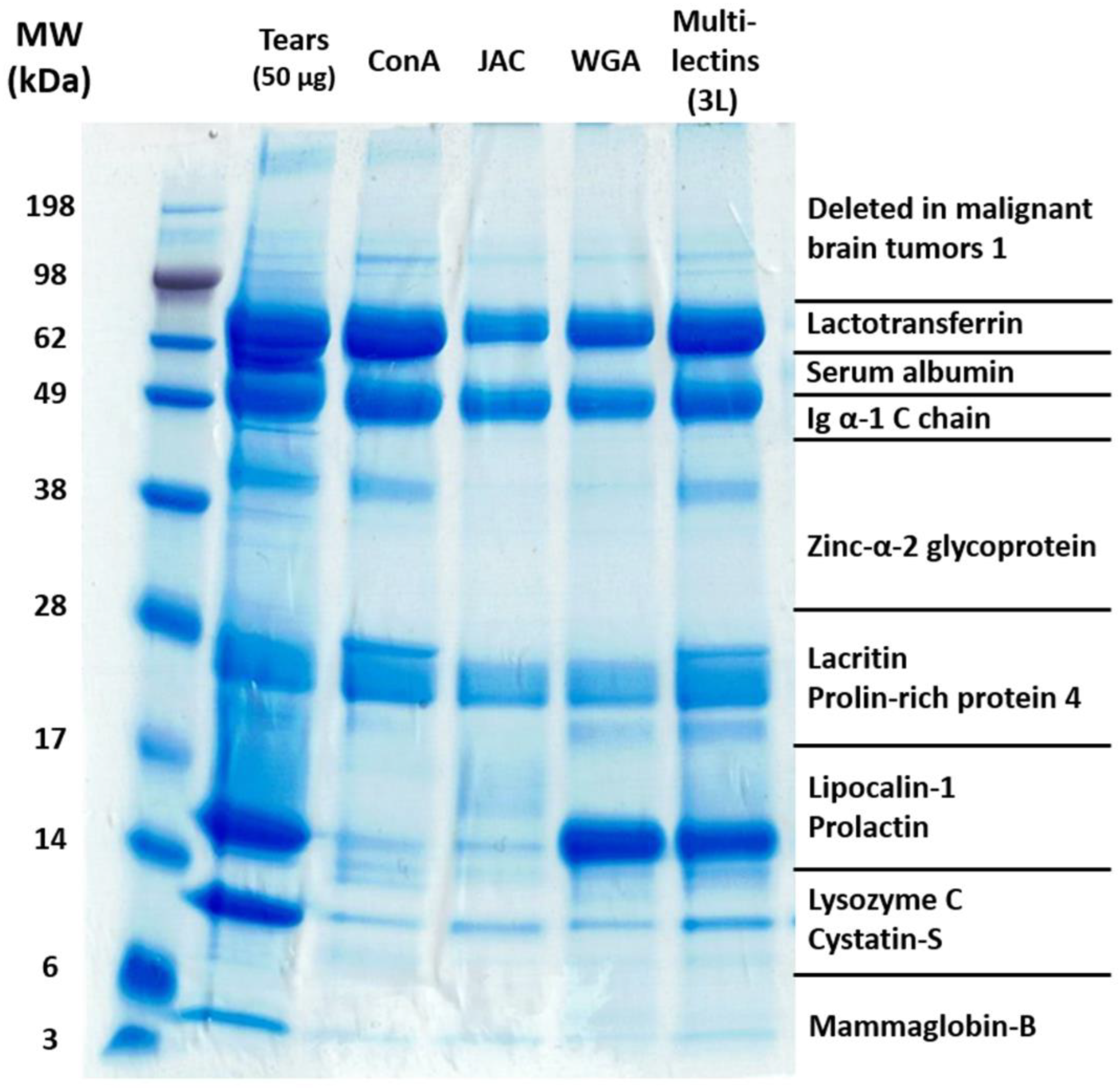 Molecules 28 00648 g002