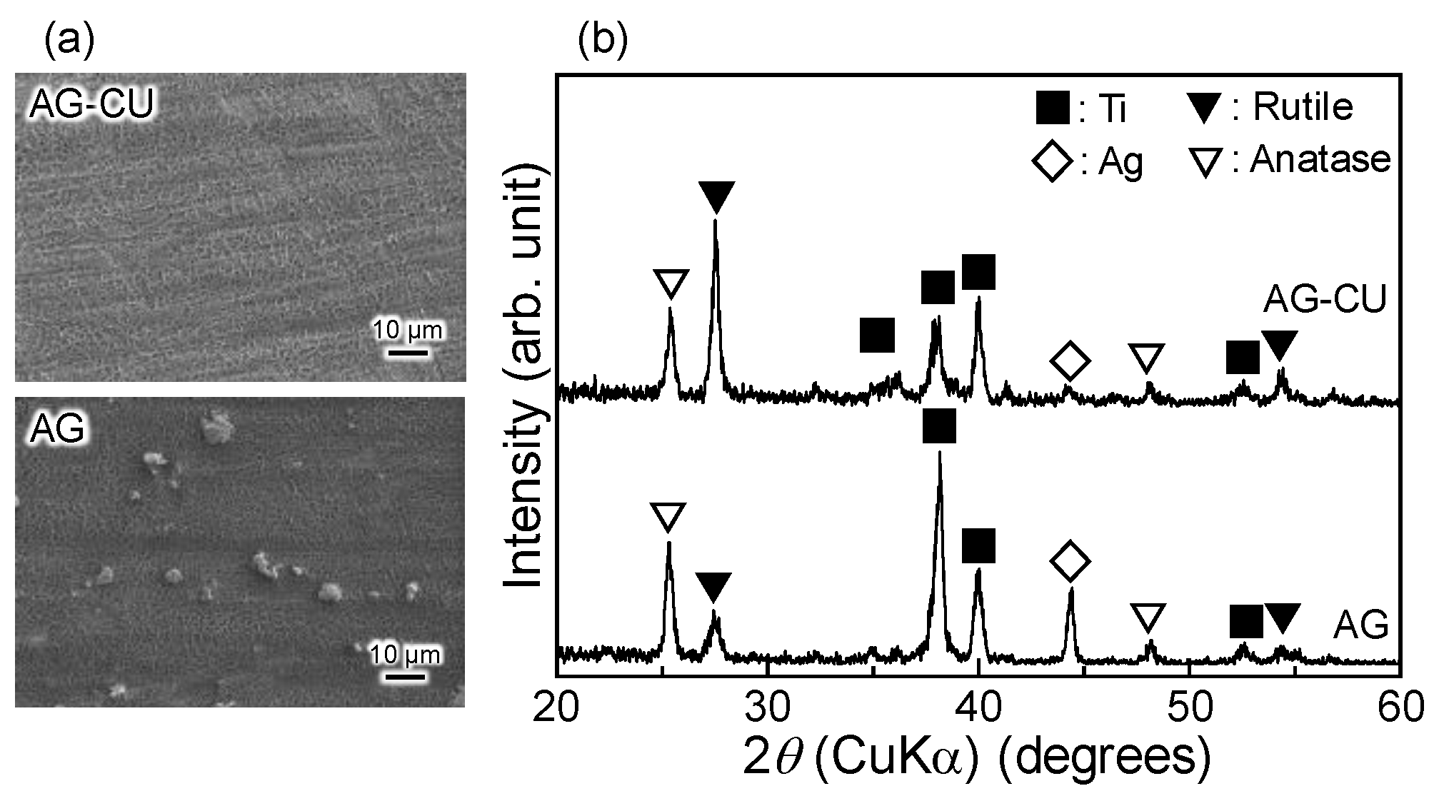Molecules 28 00650 g001