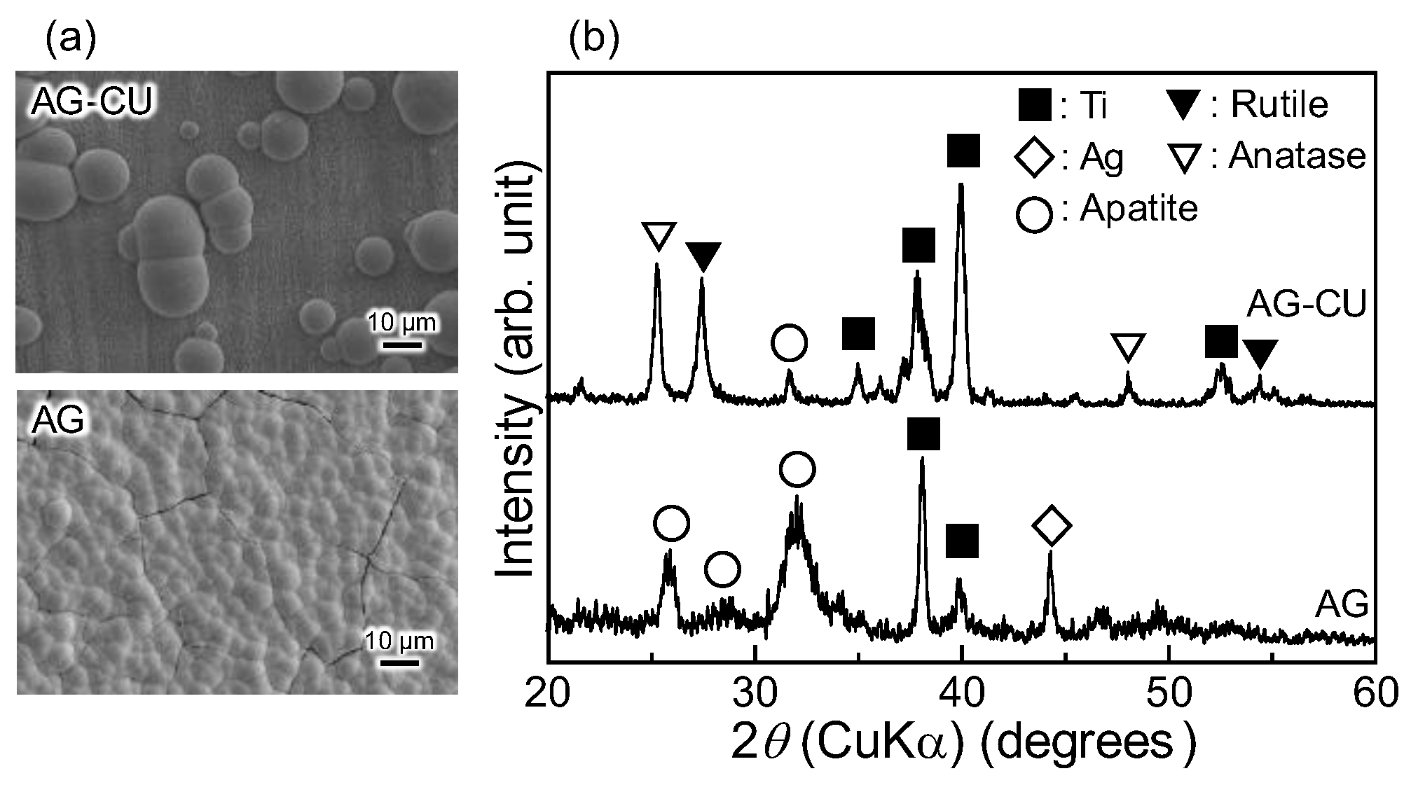 Molecules 28 00650 g003