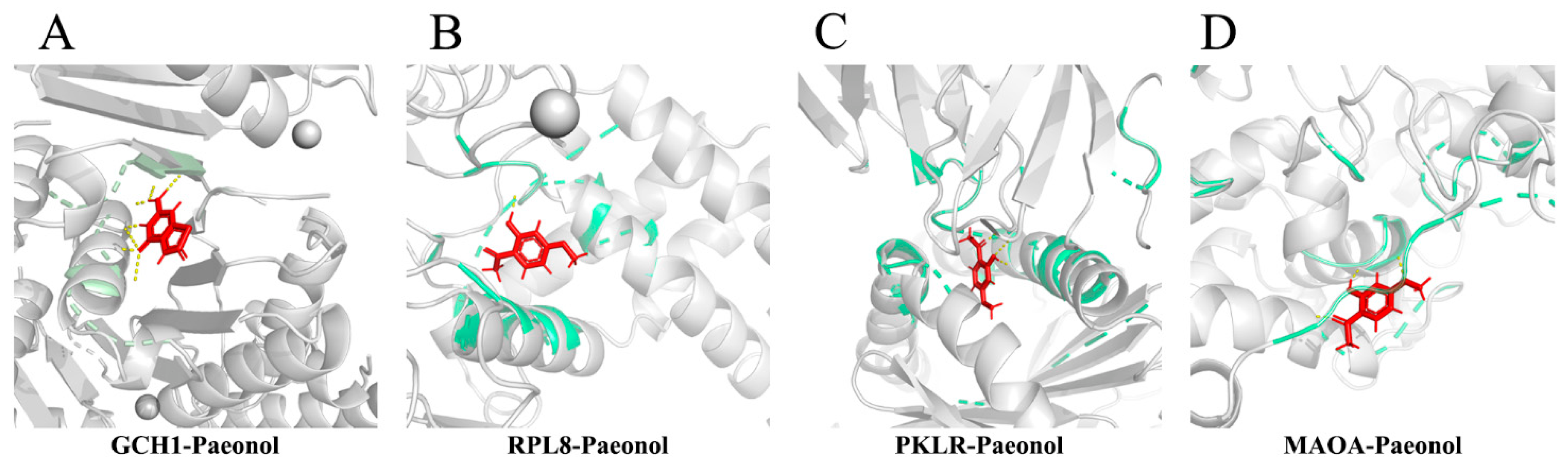 Molecules 28 00653 g006