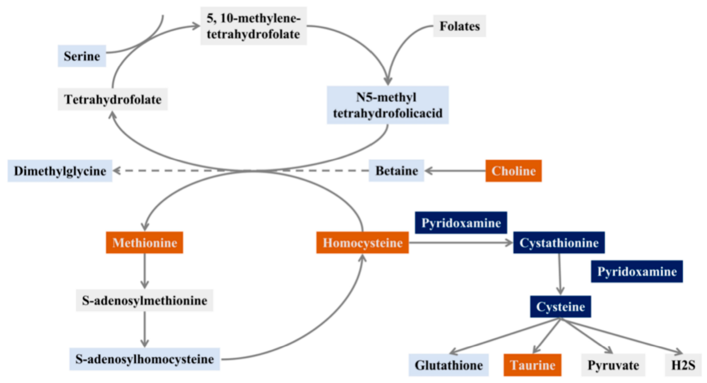 Molecules 28 00656 g001